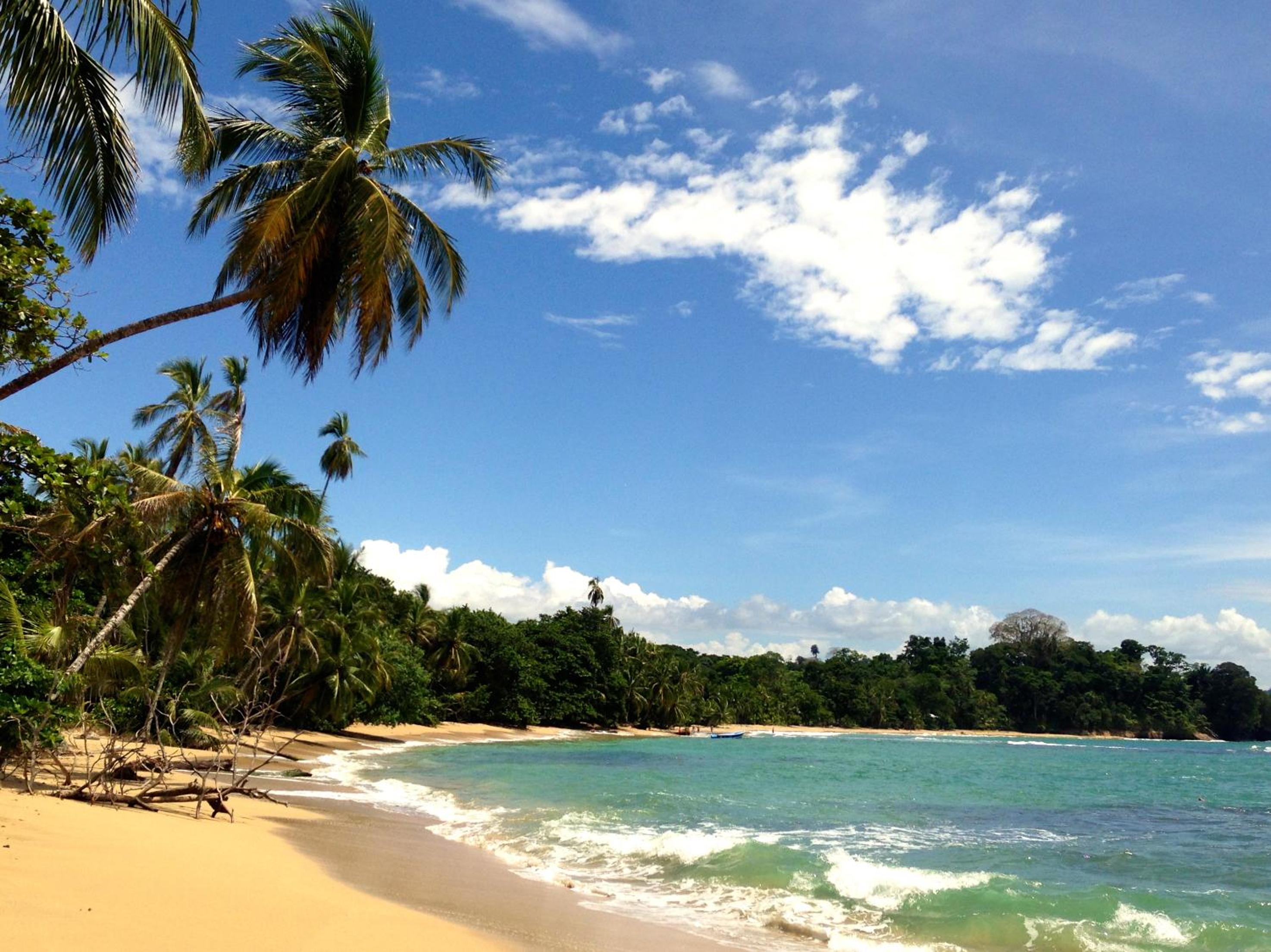 Costa Rica Caribbean Coast Vacations - Physis Caribbean Bed  Breakfast - Property Image 10