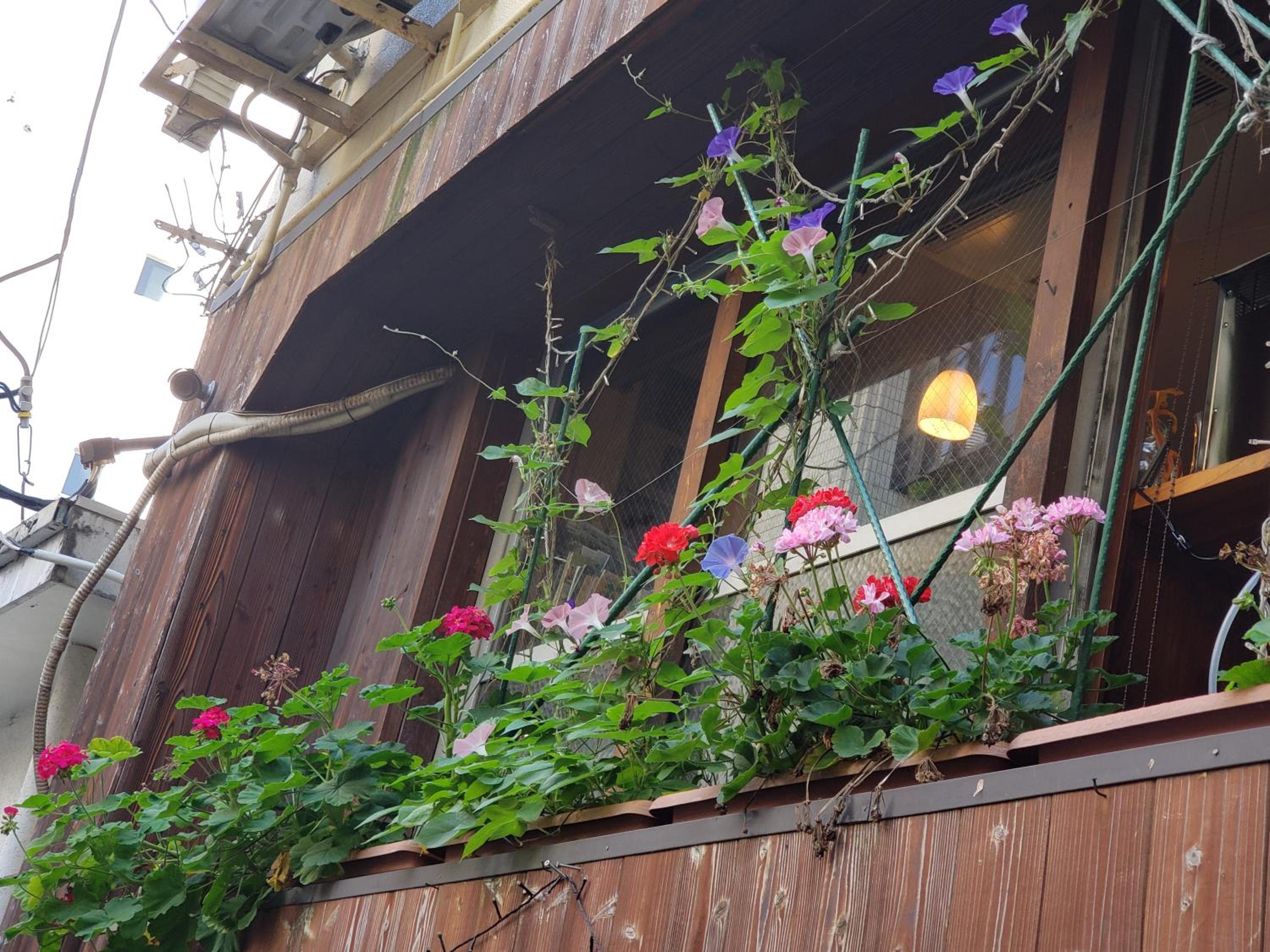 GardenRoom bnb Yumyum view 2