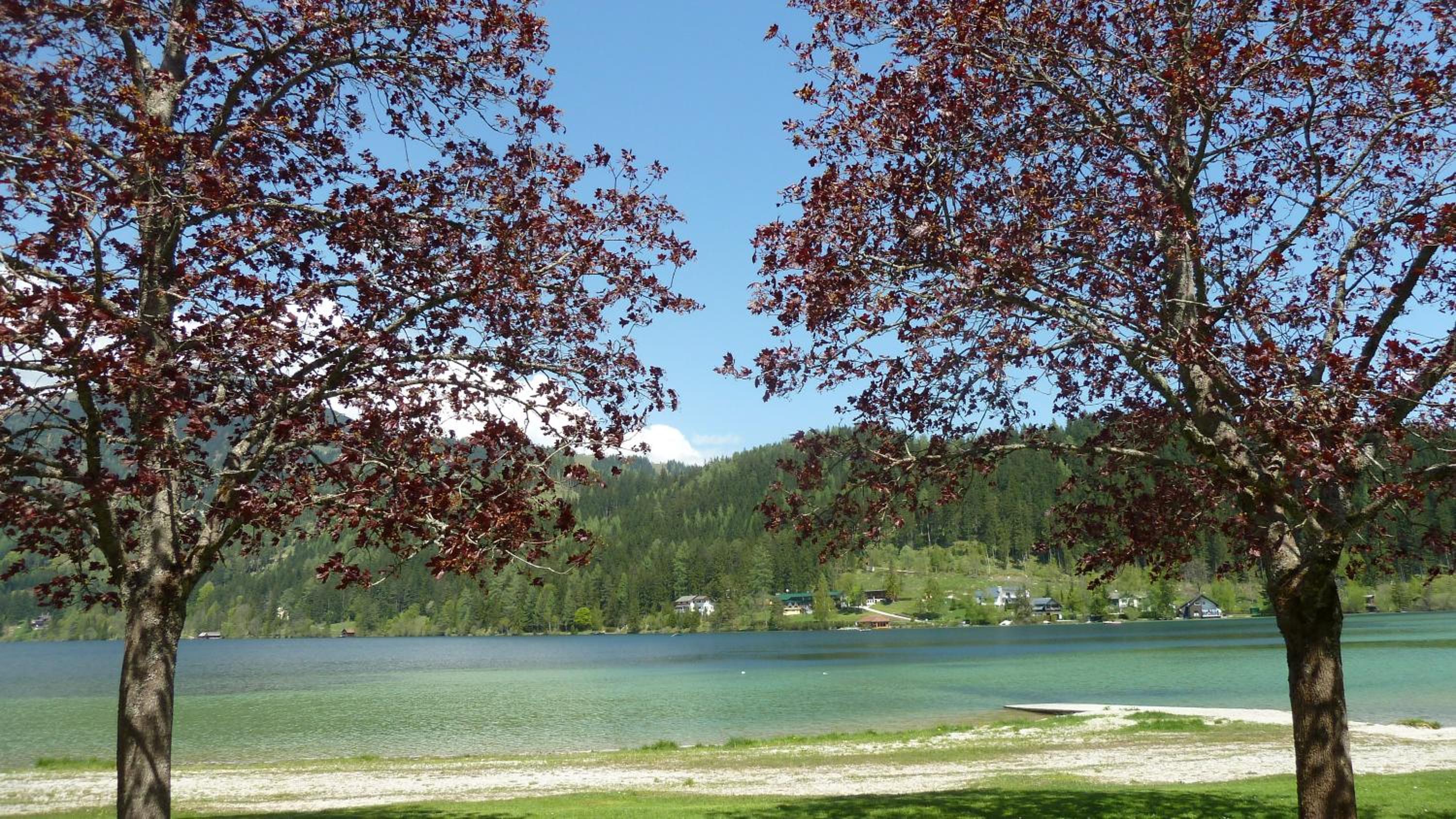 Photo 29