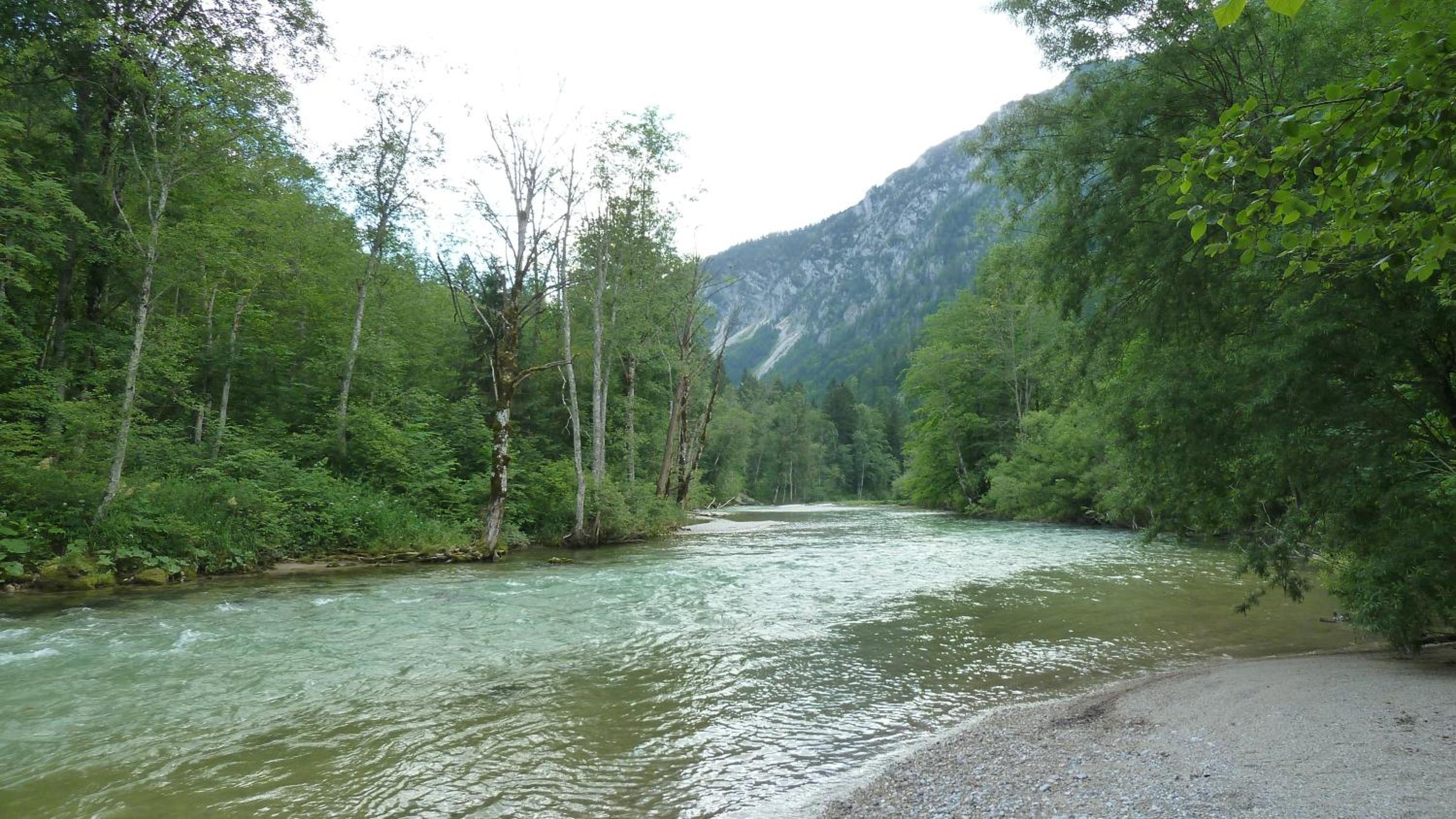 Photo 33