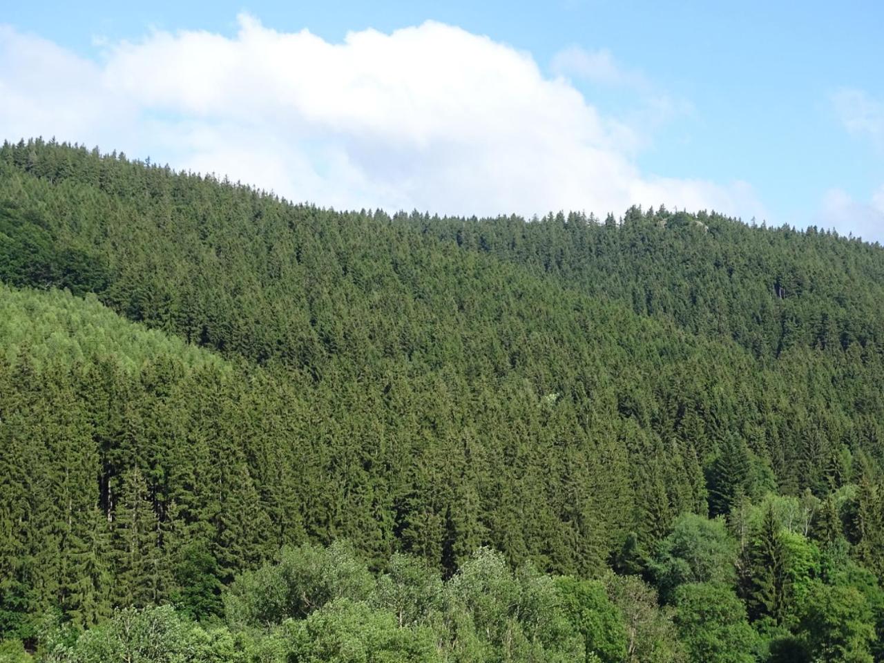 Ferienwohnung am Berggrabenweg view 4