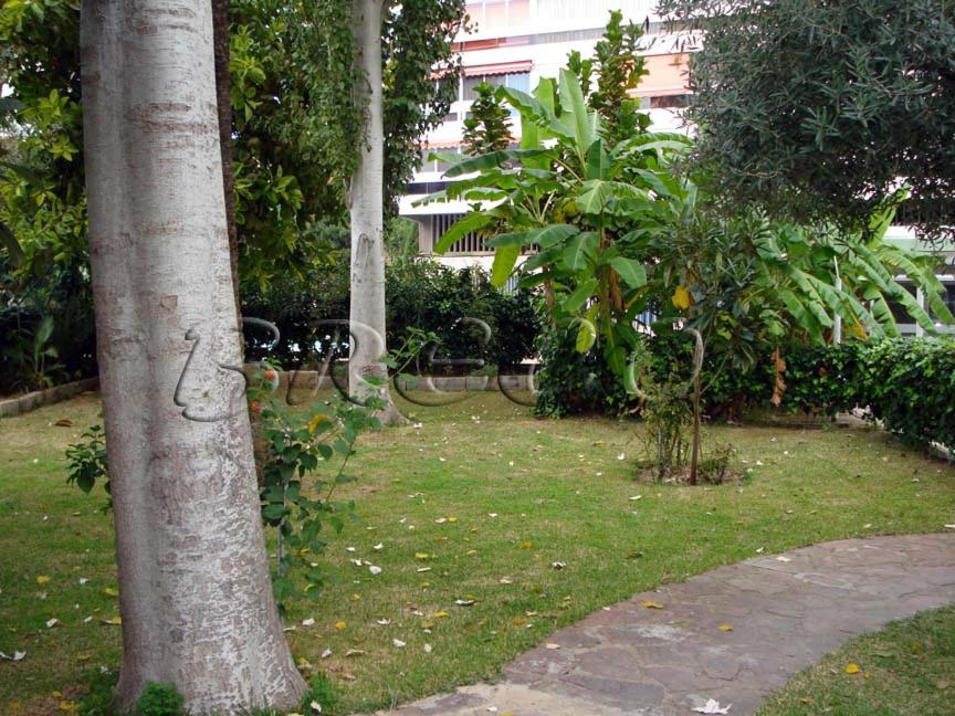 Apartamentos Cervantes view 3