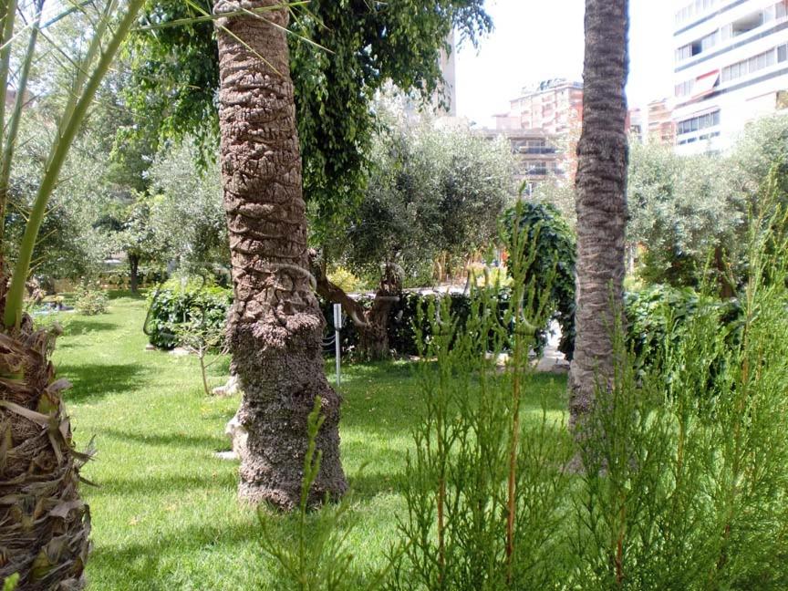 Apartamentos Cervantes view 4