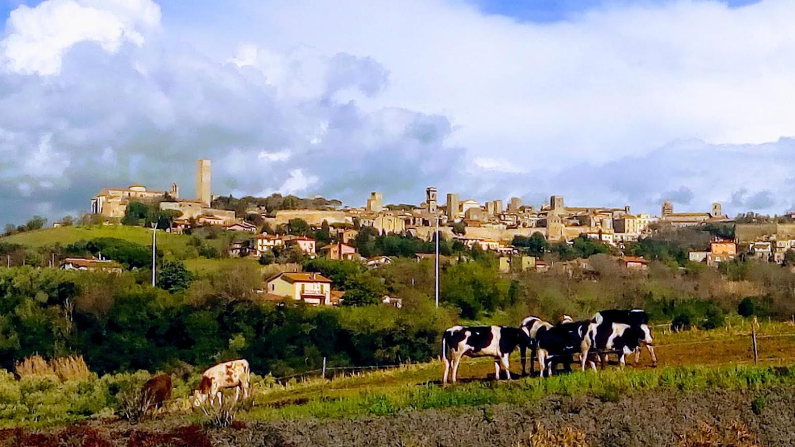Agriturismo Il Poderino