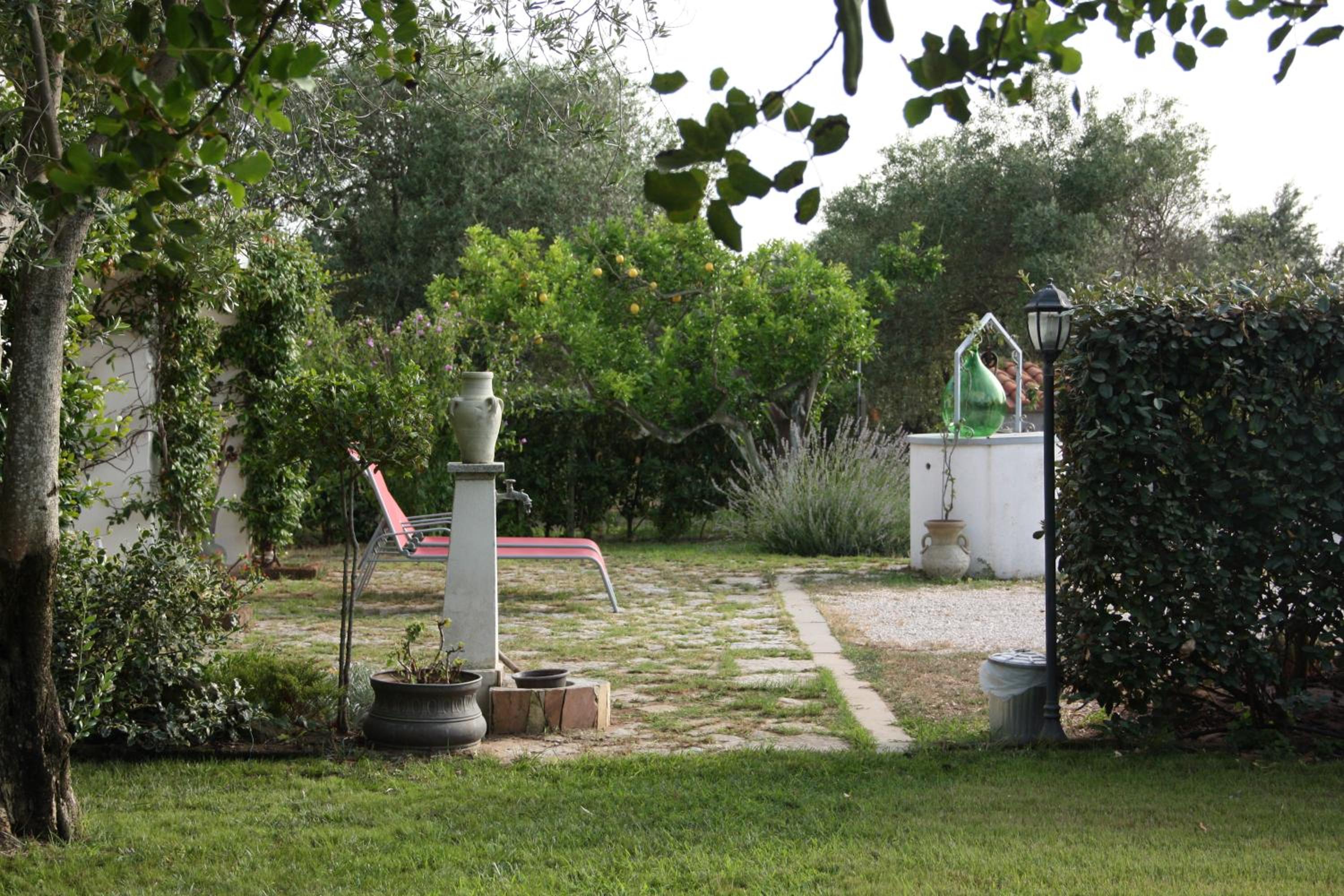 Photo 42