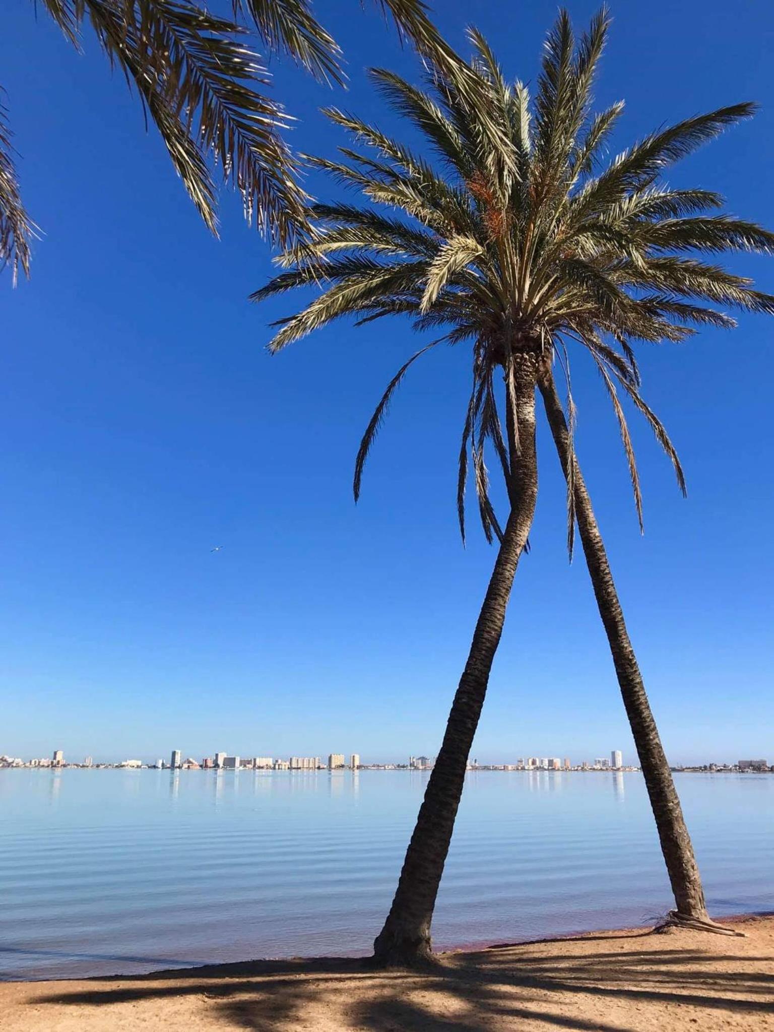 Fantastico Apartamento con solárium view 4