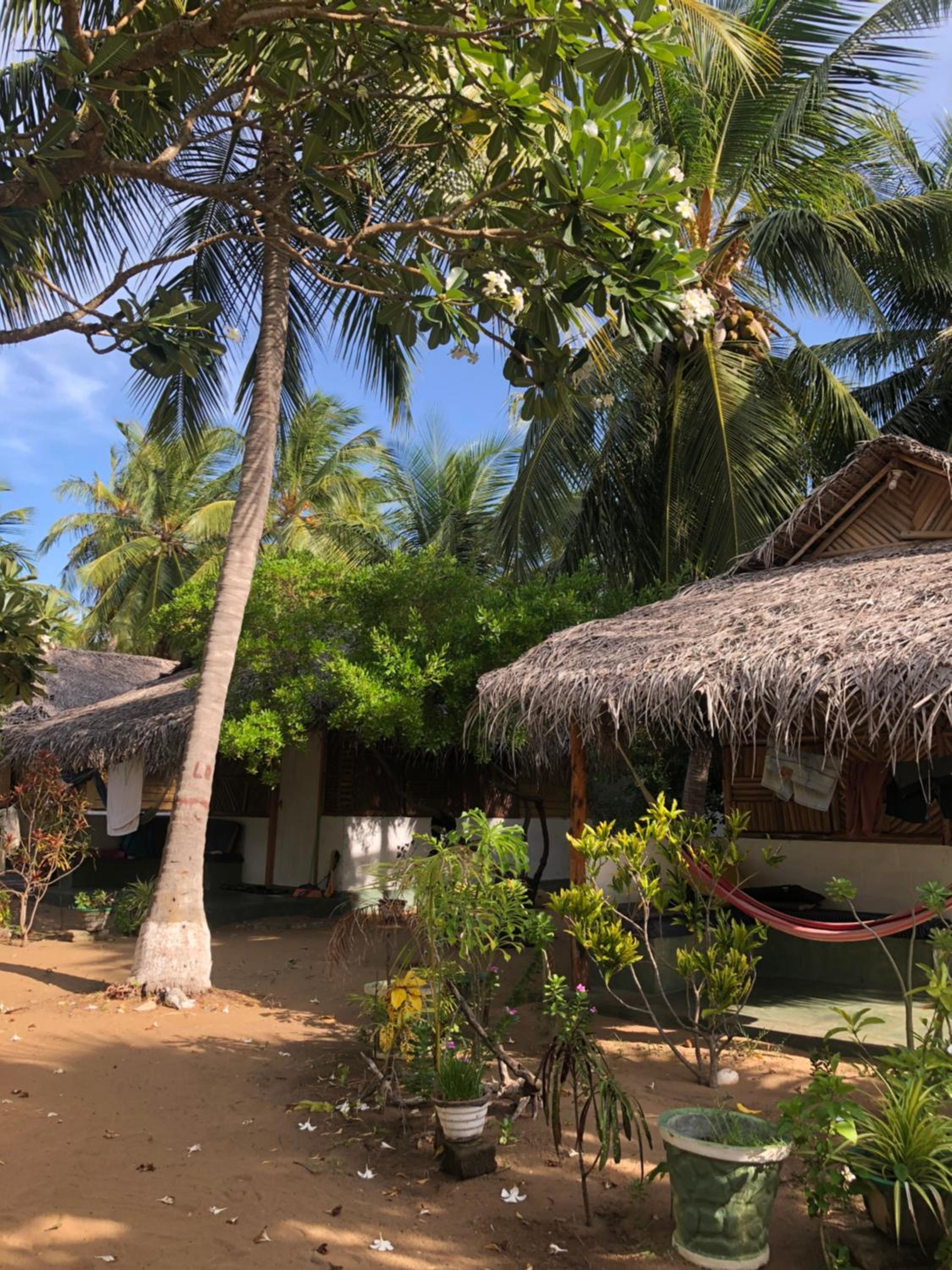 Sun Wind Beach Kalpitiya Kite Resort view 4