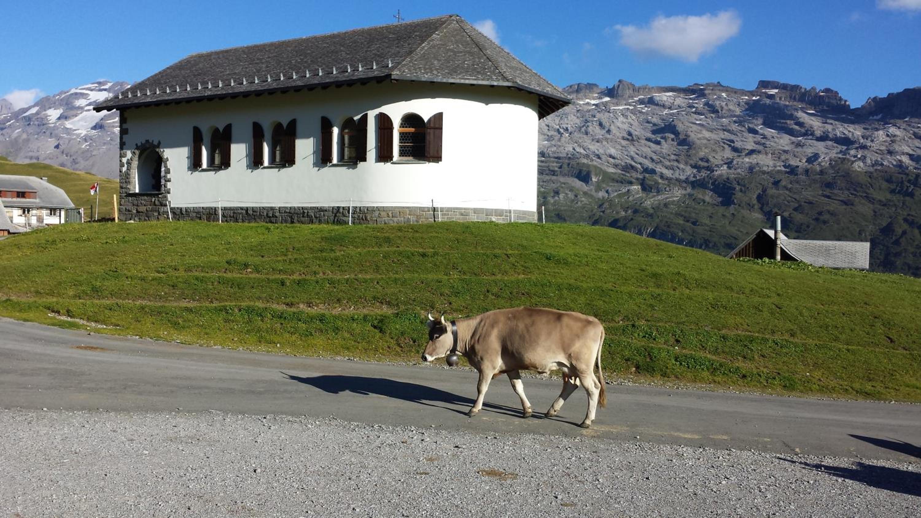 Berggasthaus Tannalp