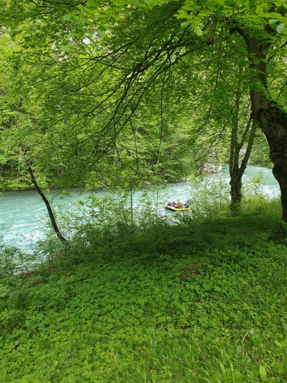 Photo 17