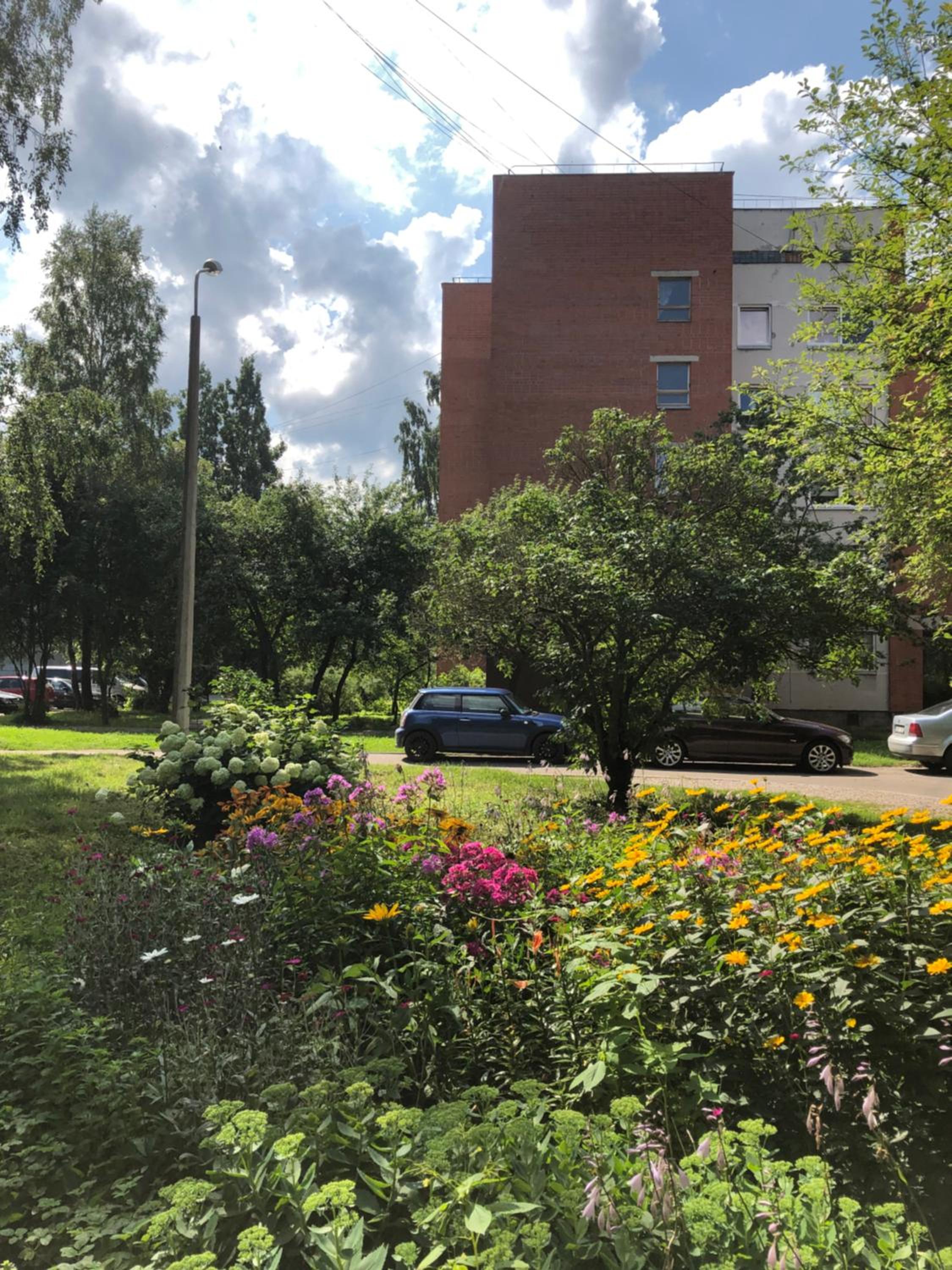 Photo 22