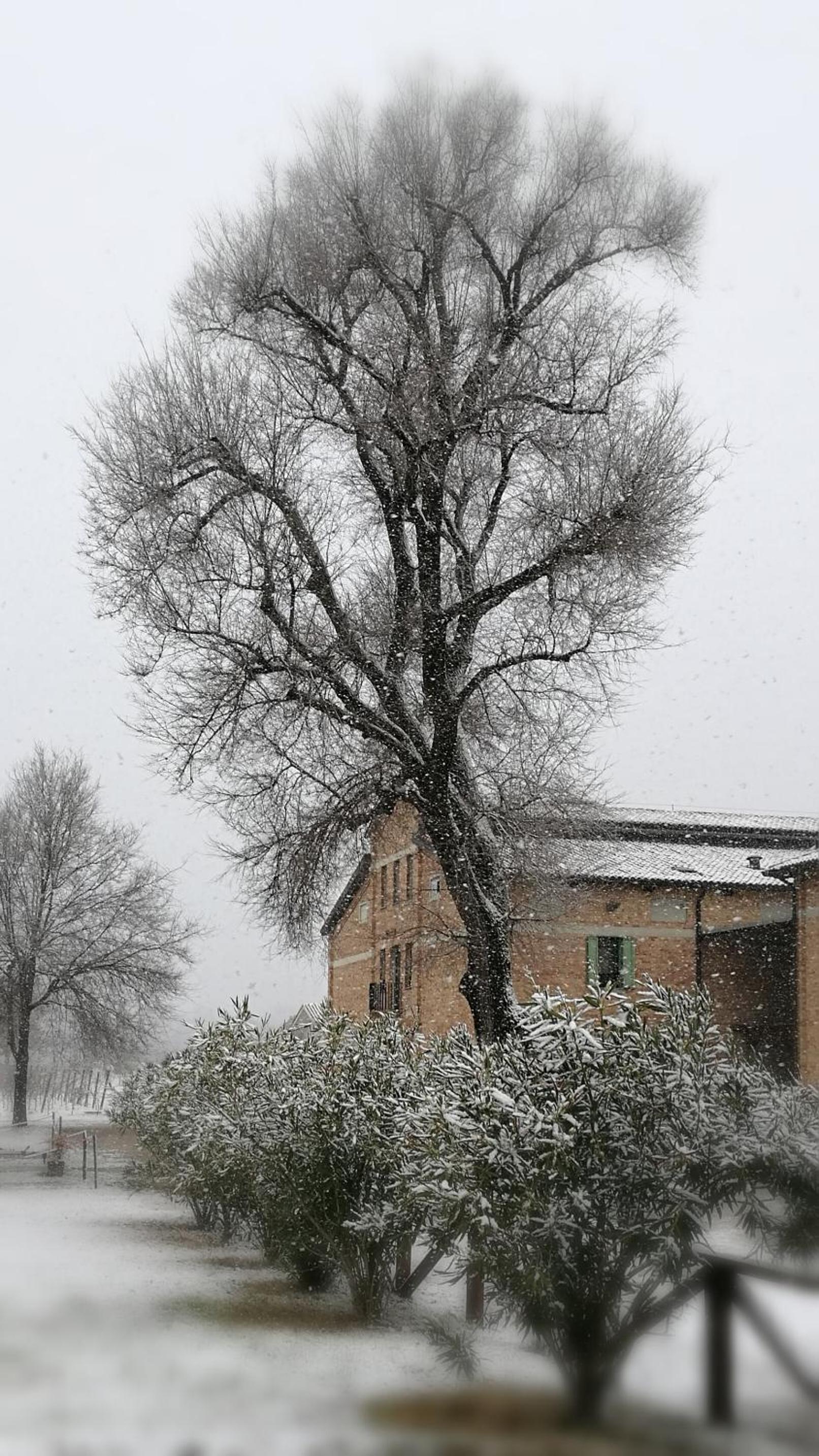 Agriturismo Le Giarine view 3