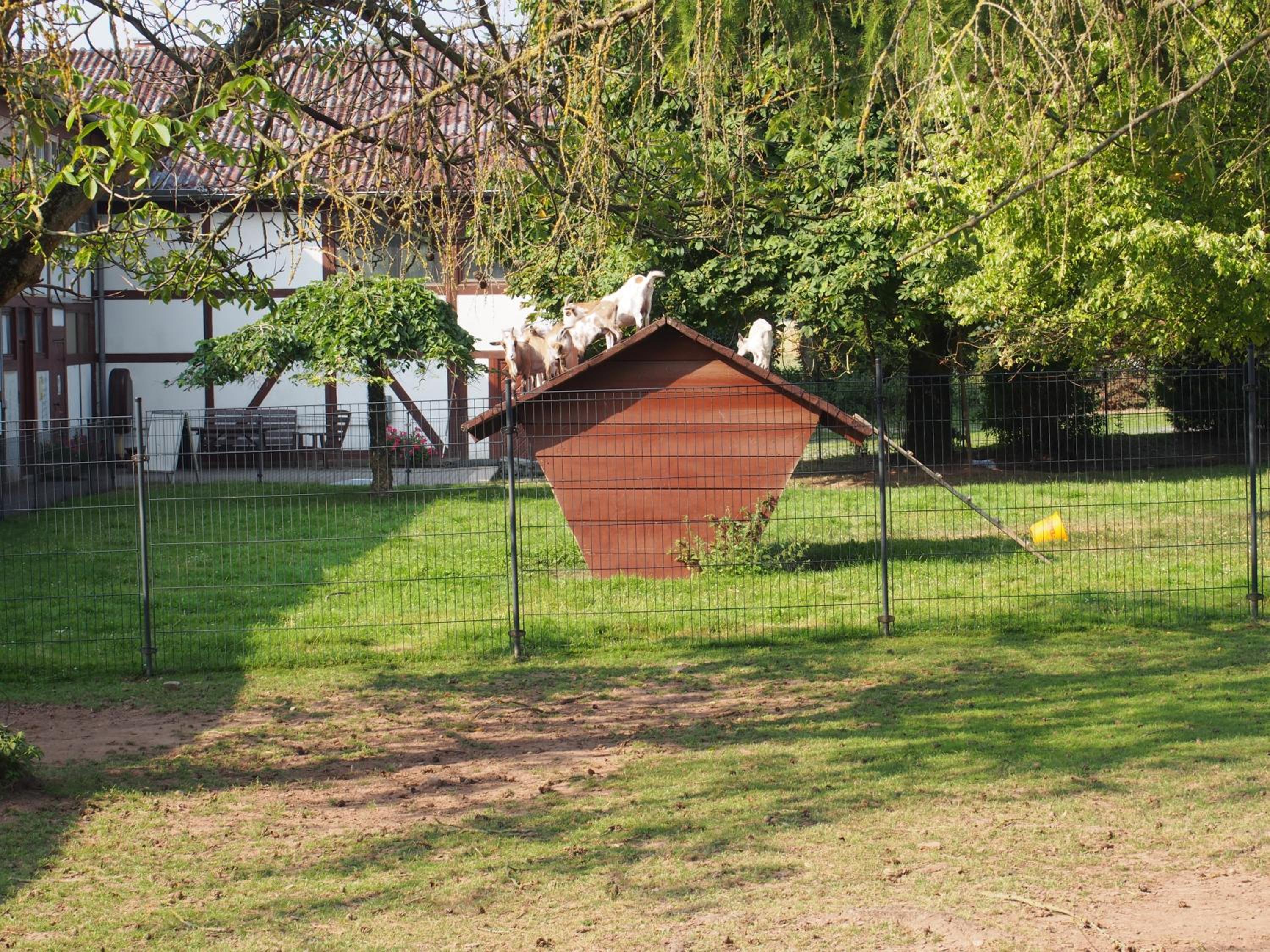 Gut Dankerode