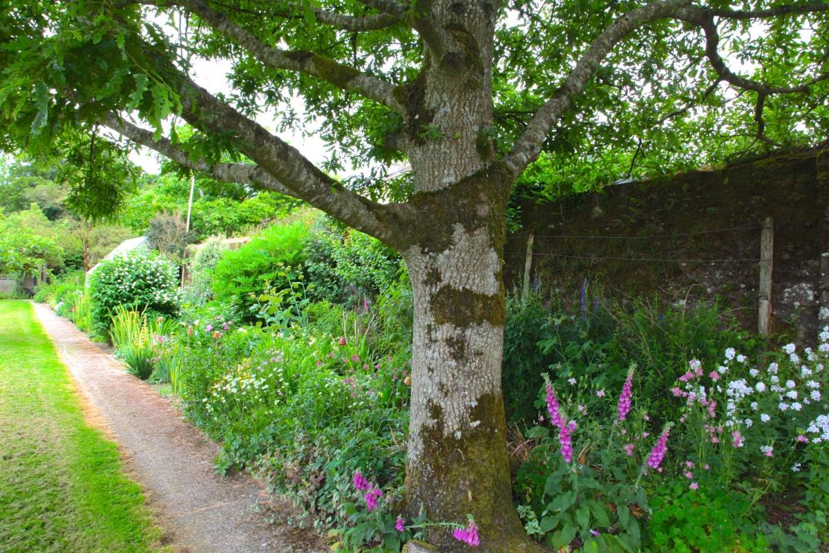 Willowhill House view 4