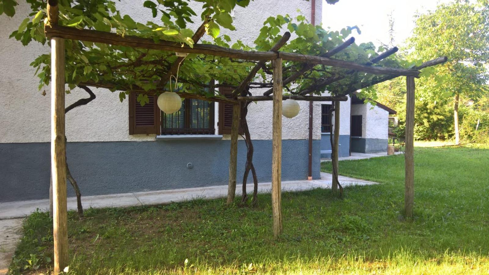 Photo 47