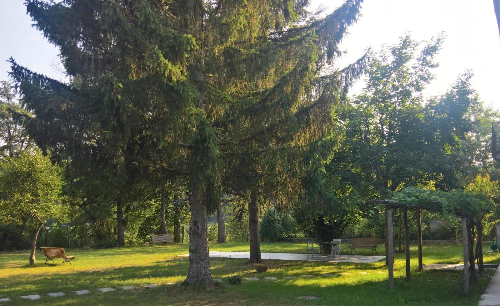Photo 43