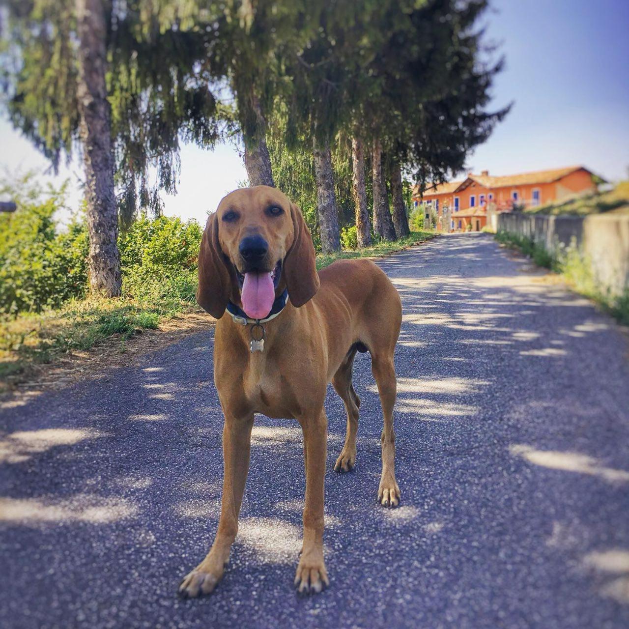 B&B La Buonora