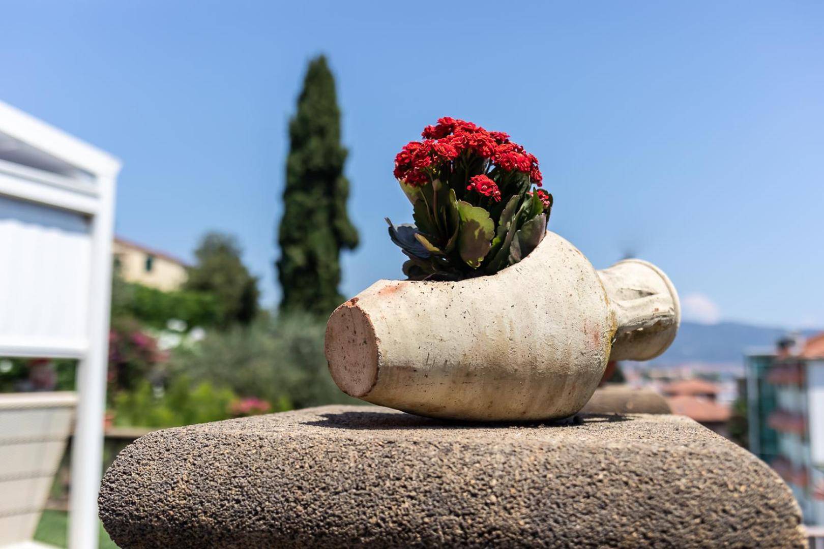 Il Viaggio, photo 16