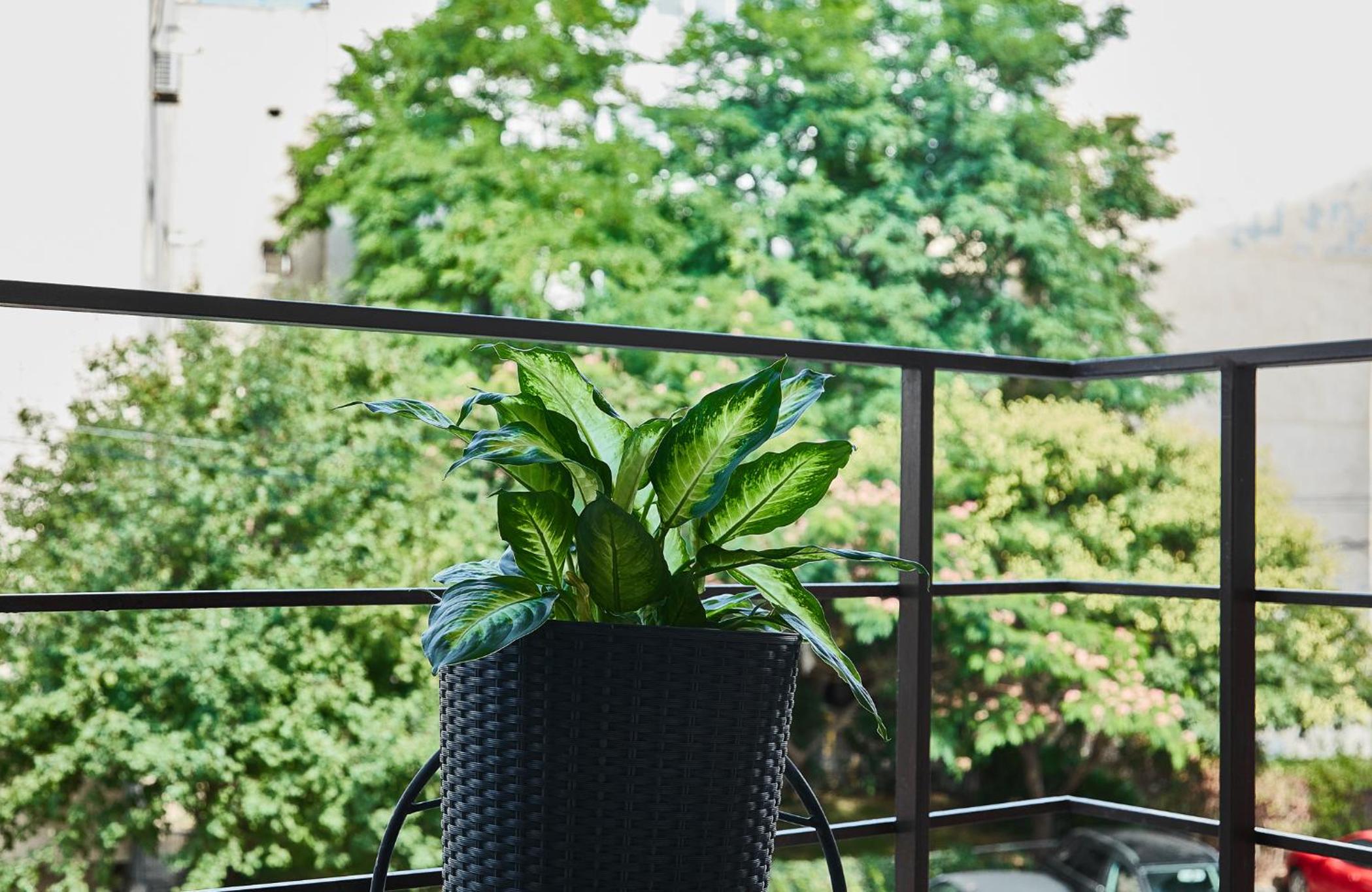 Gabizz Apartments