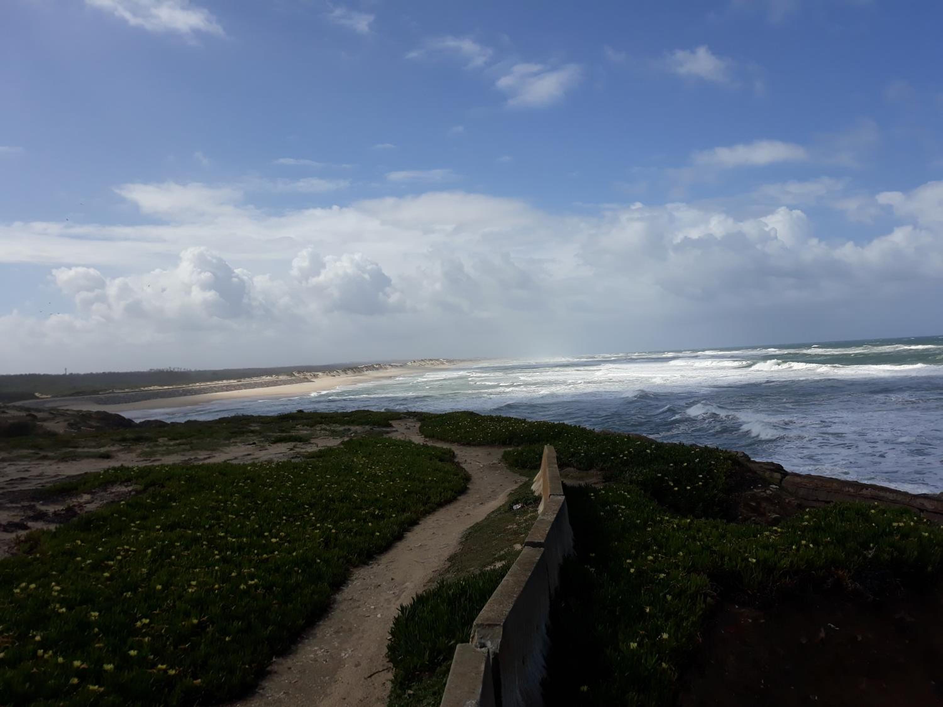 Praia do Pedrógão view 4