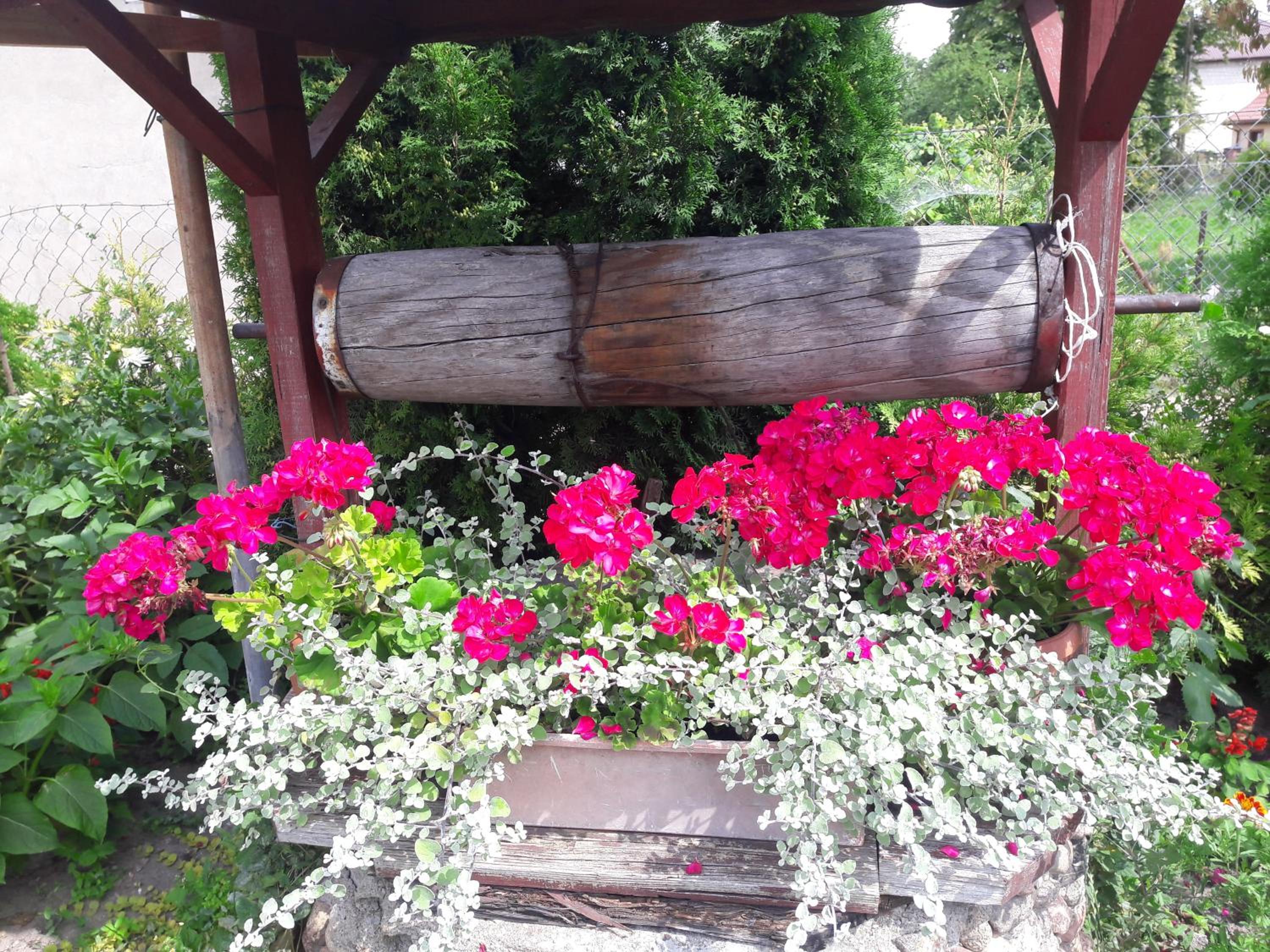 Photo 52