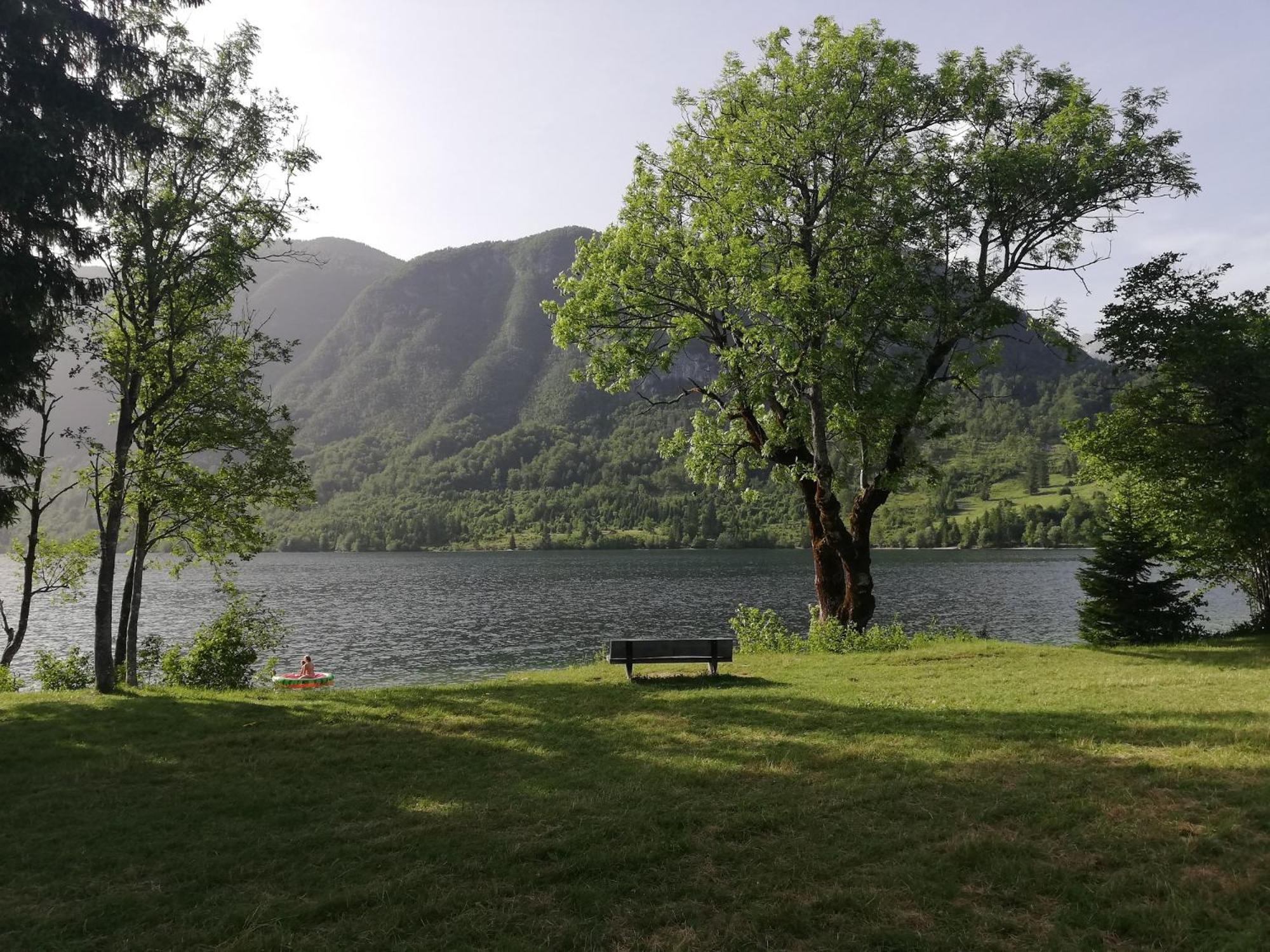 Photo 23