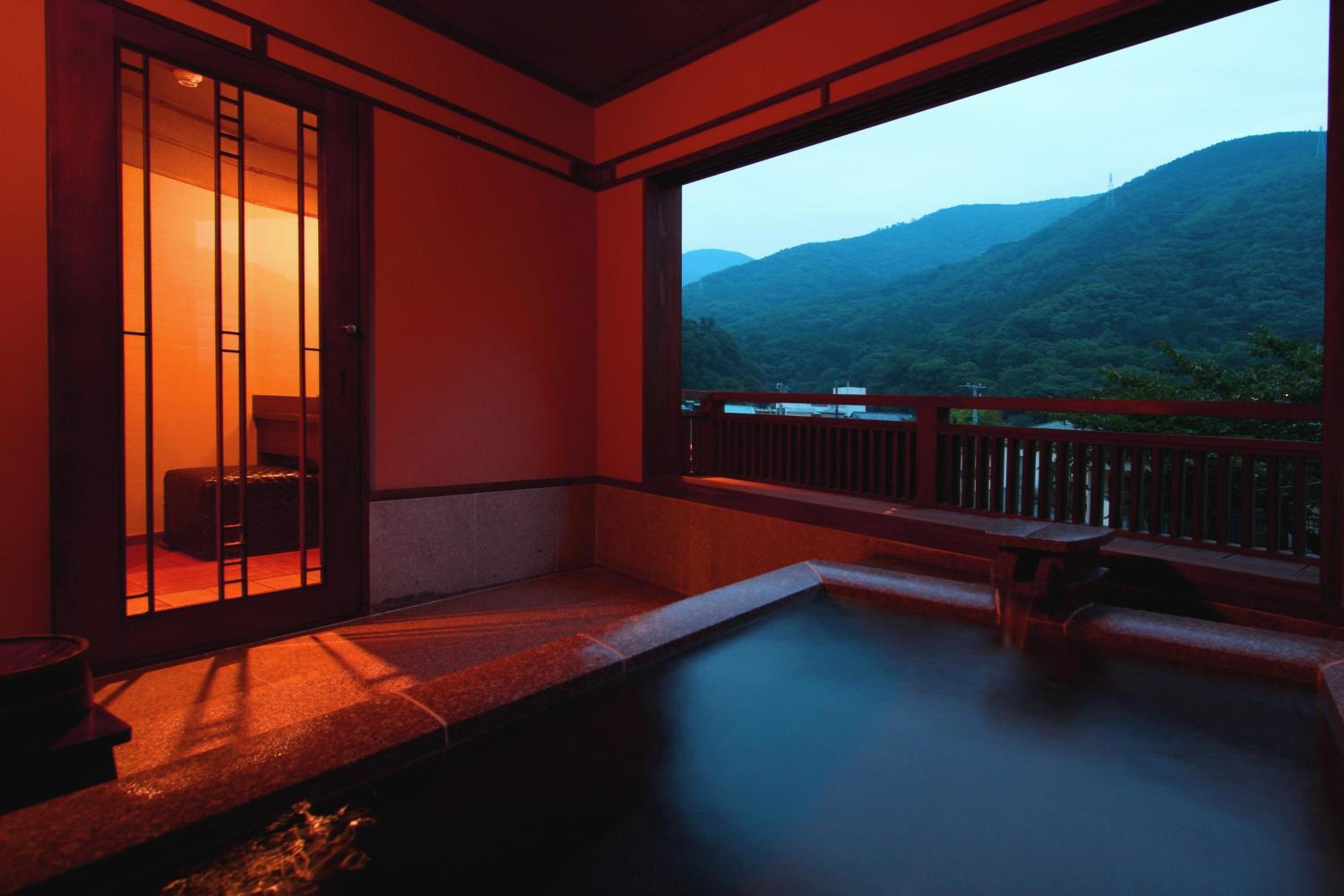 Hakone Onsen Ryokan Yaeikan view 2