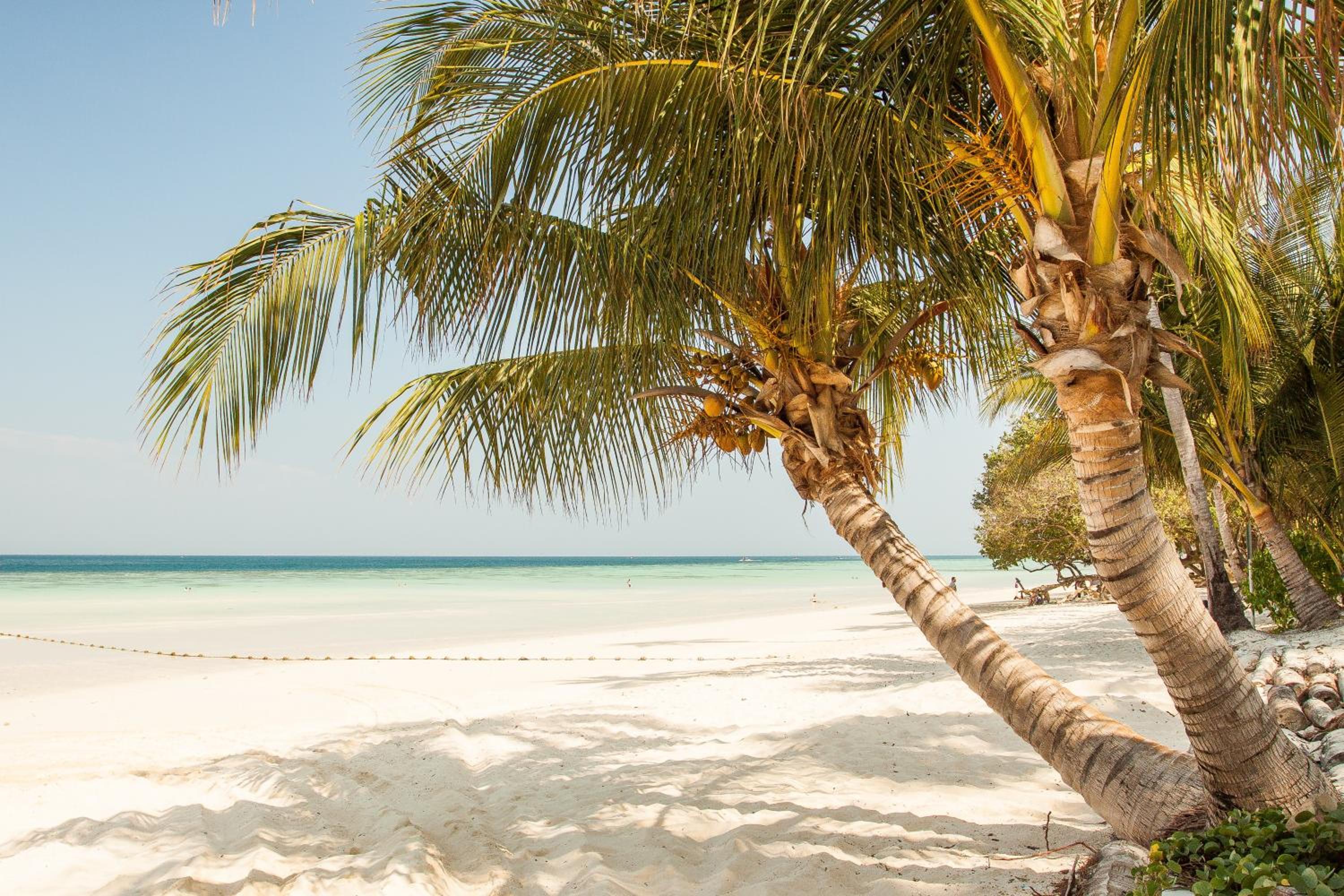 Hotel Blanco Tulum - Property Image 27