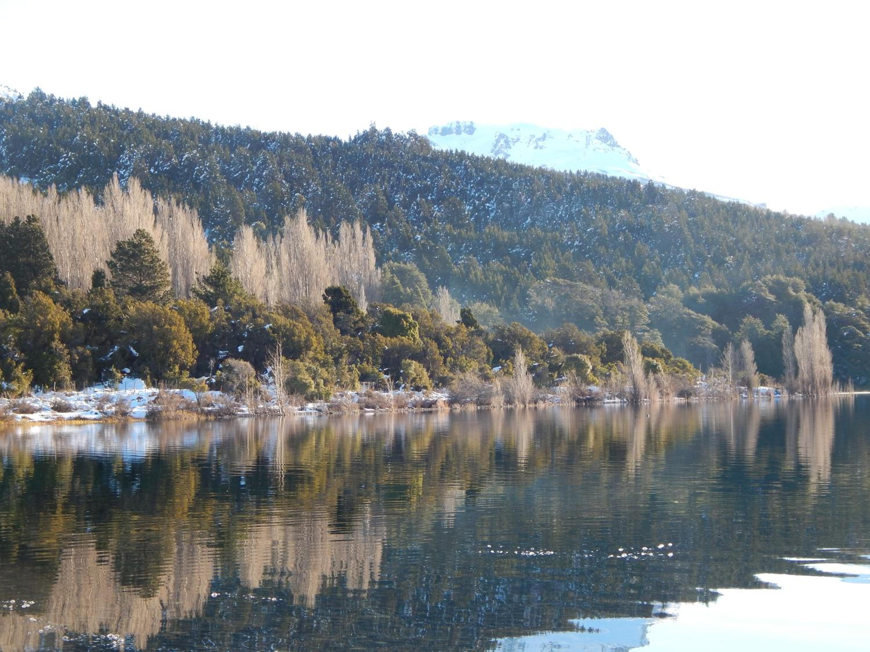 Cabañas Wenuray