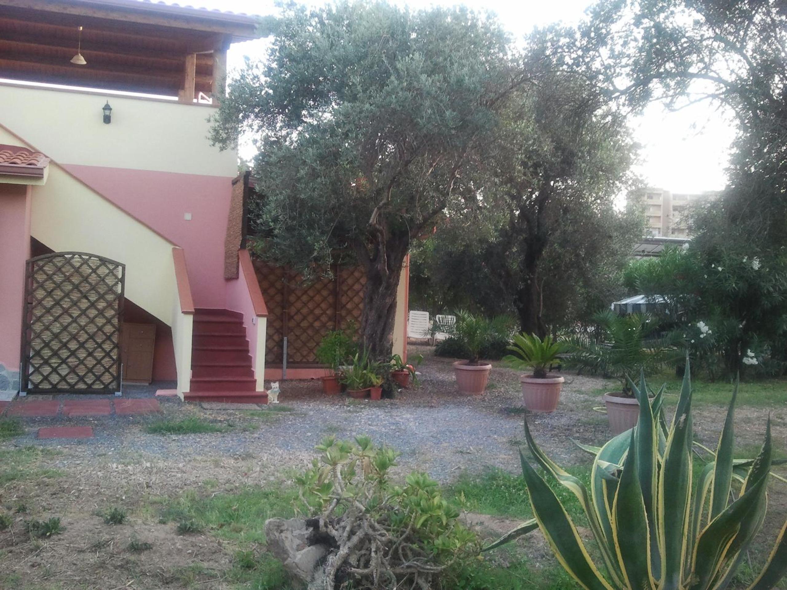 Photo 43