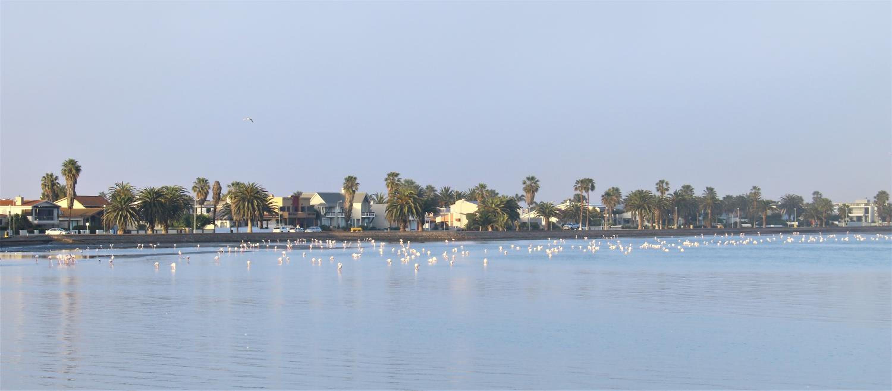Photo 43