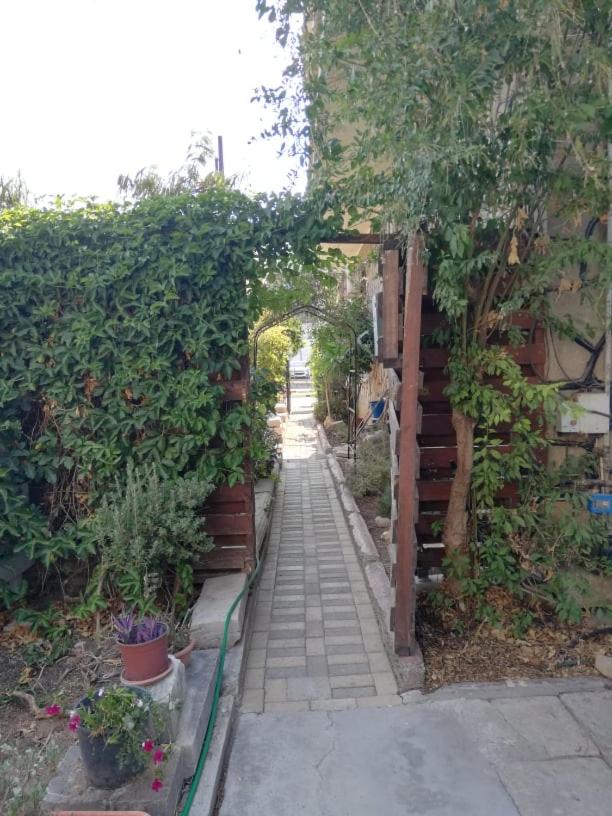 Photo 36