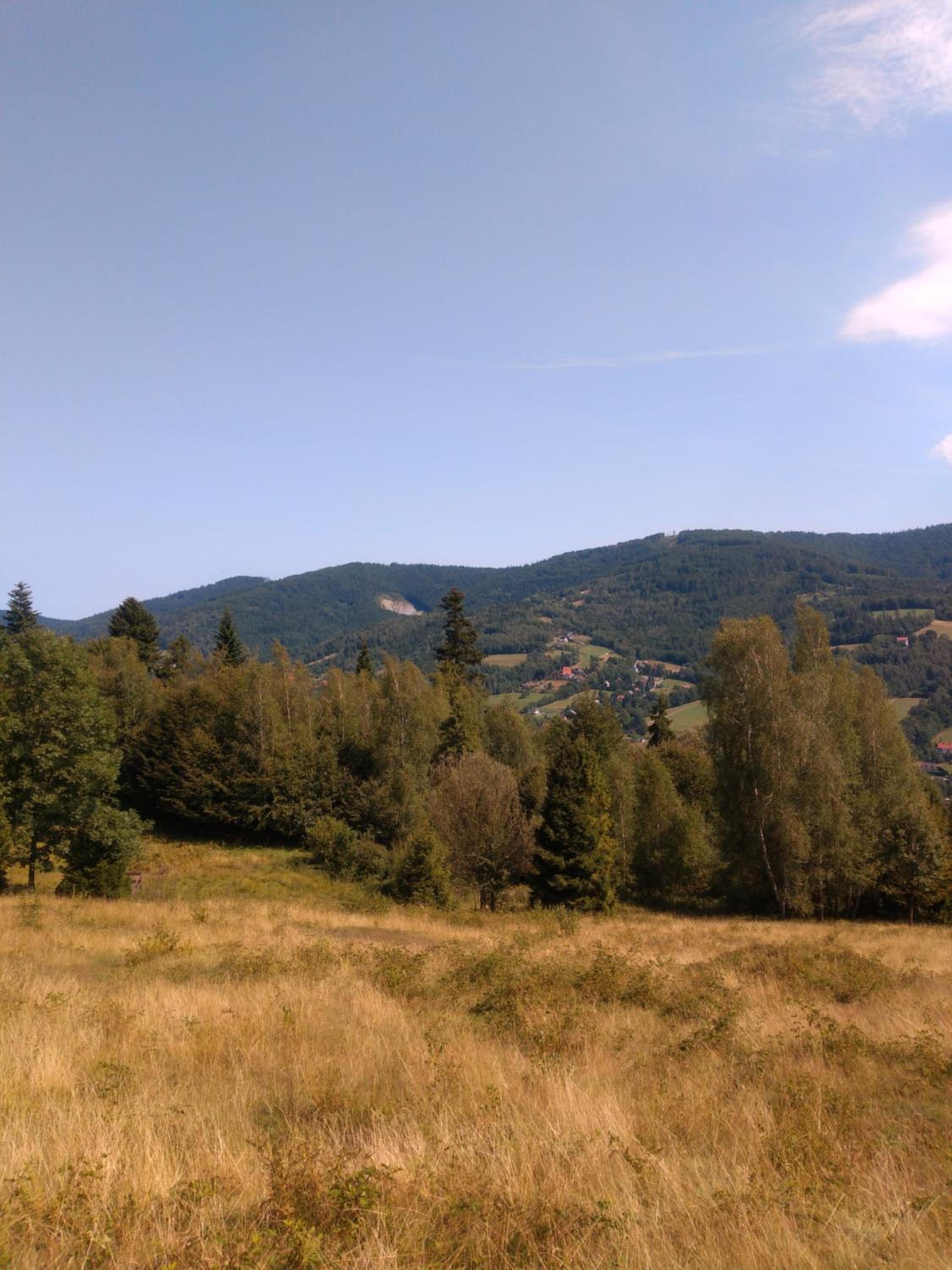 Photo 24
