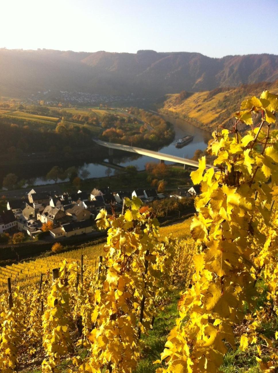 Gästezimmer im Weingut Amlinger&Sohn
