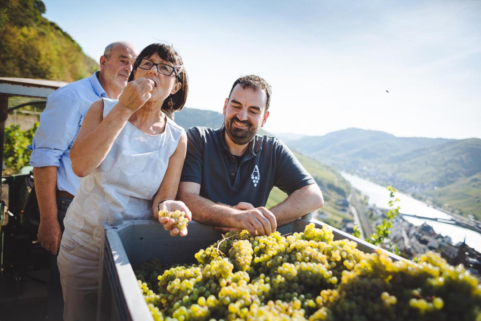 Gästezimmer im Weingut Amlinger&Sohn