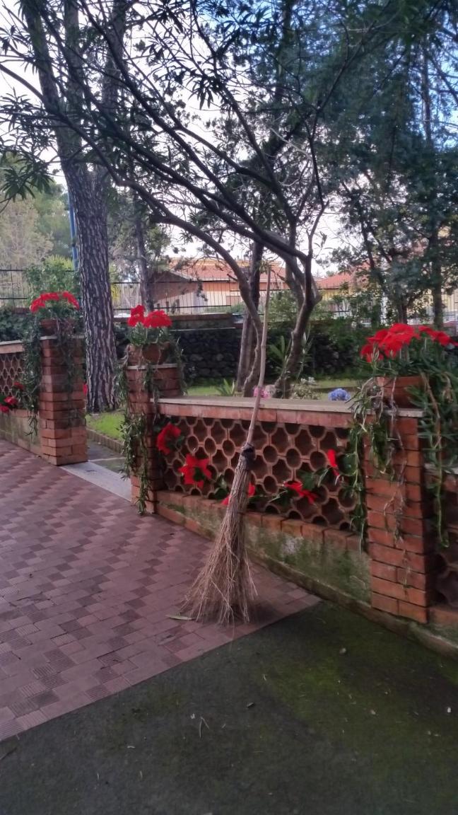 Photo 69