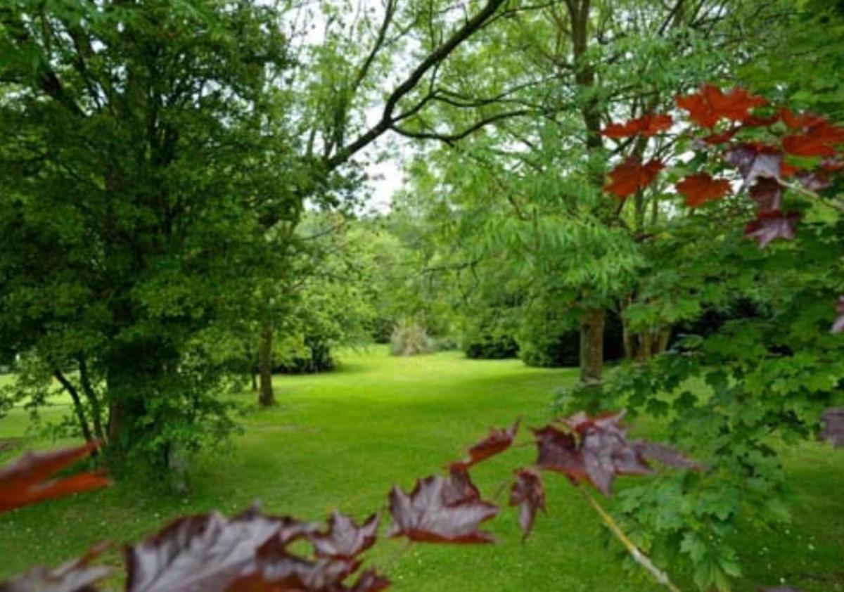 Photo 34