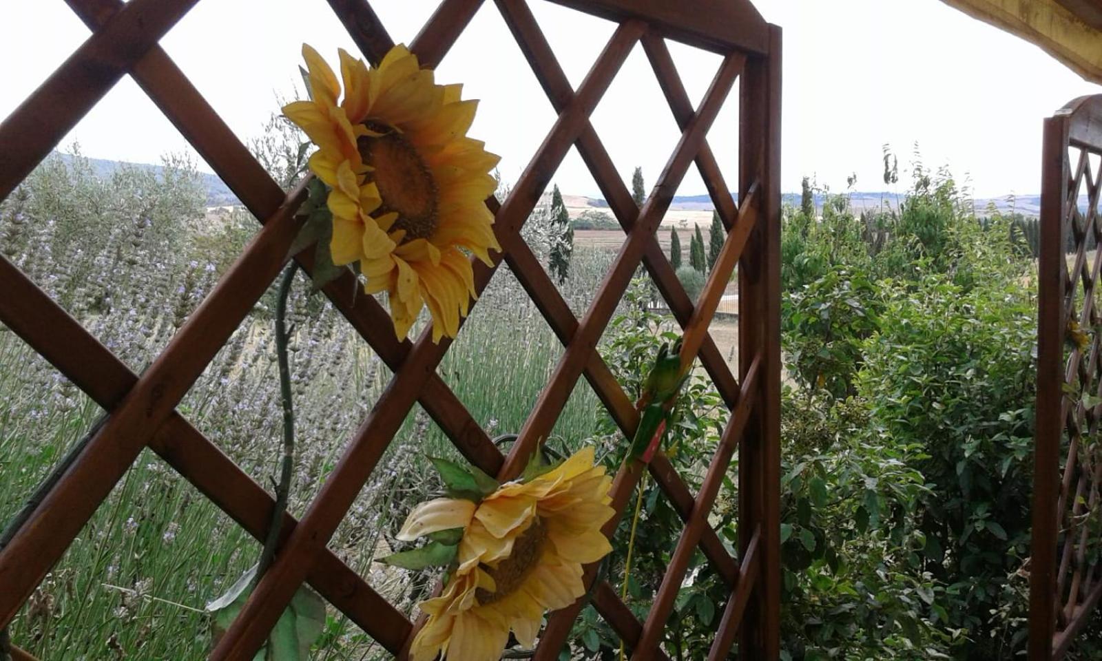 Casa Country House Girasole vakantie huis-WAKACJE HUIS
