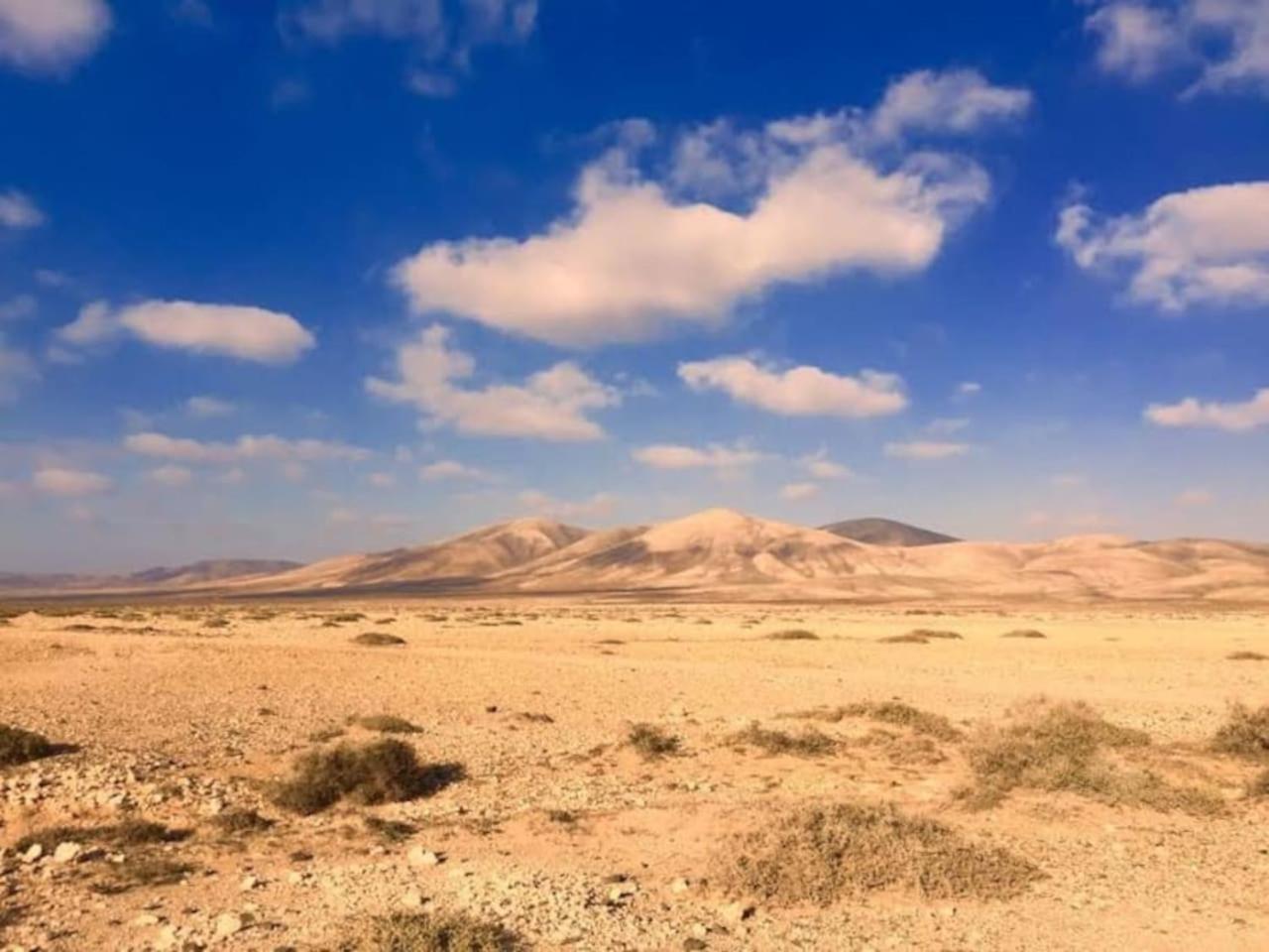 APPARTEMENT BONITO VISTAL BRISTOL SUNSET BEACH