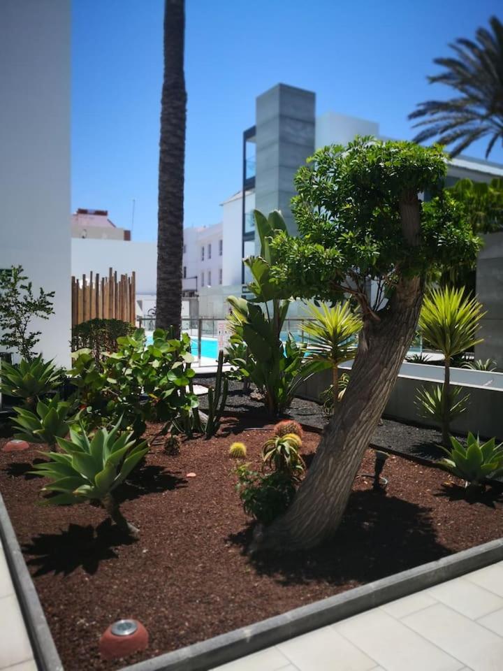APPARTEMENT BONITO VISTAL BRISTOL SUNSET BEACH