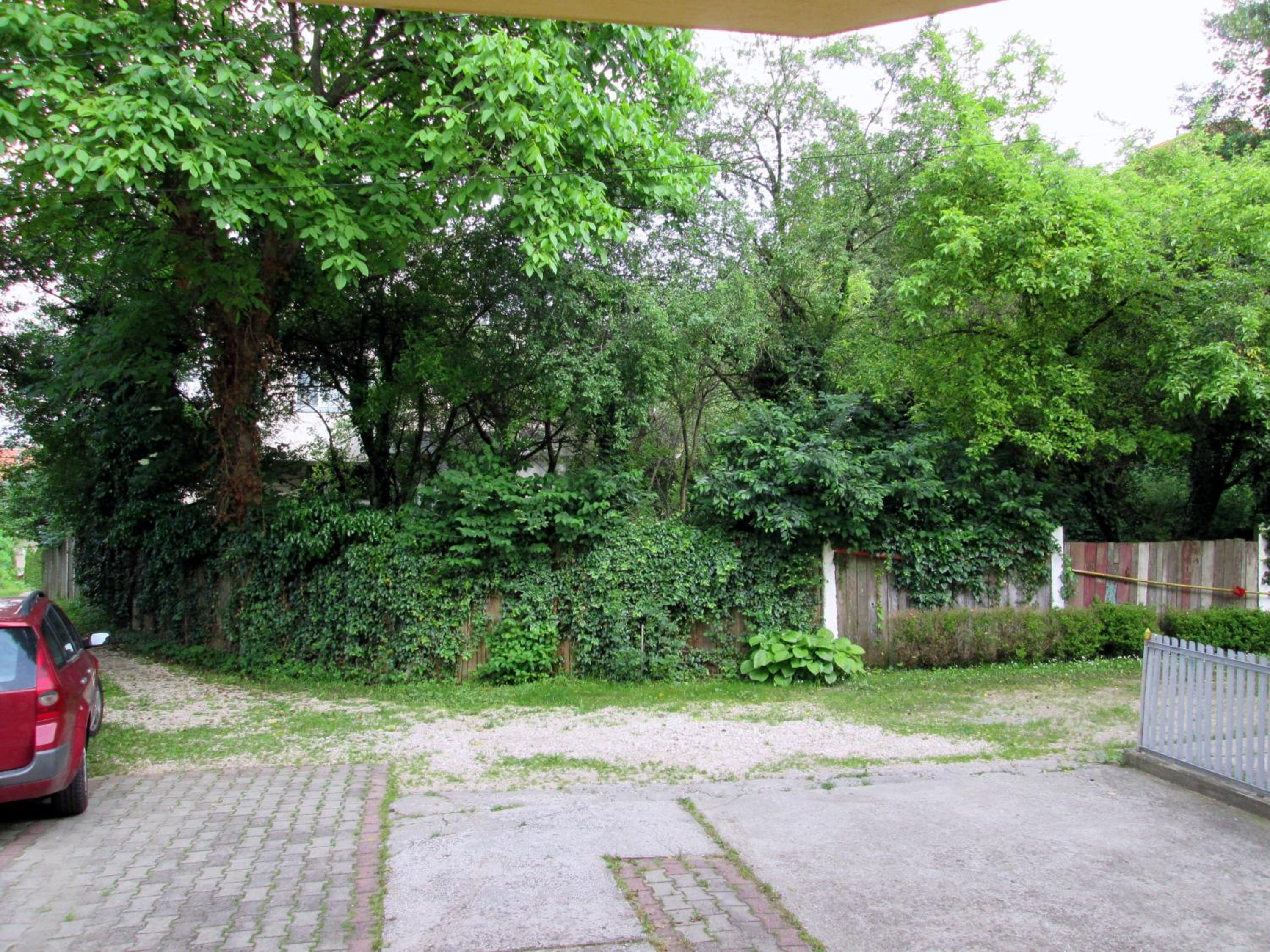 Photo 61