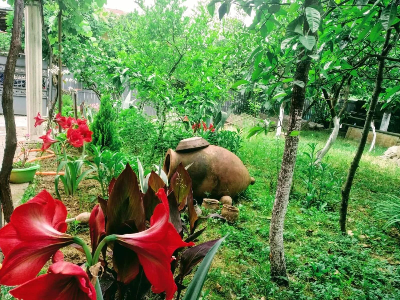 Guest House Ukimerioni view 5