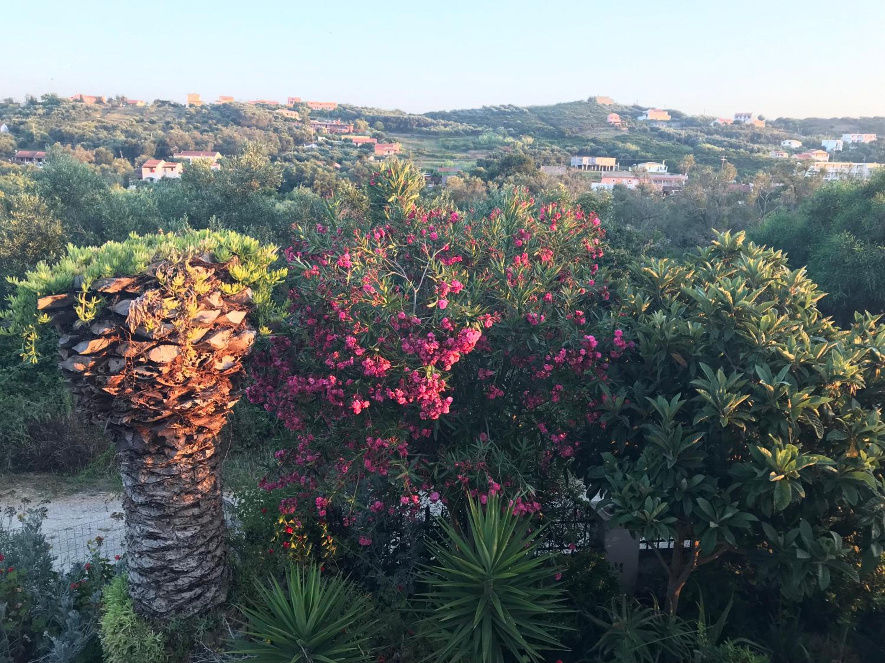 Floros Apartments view 5
