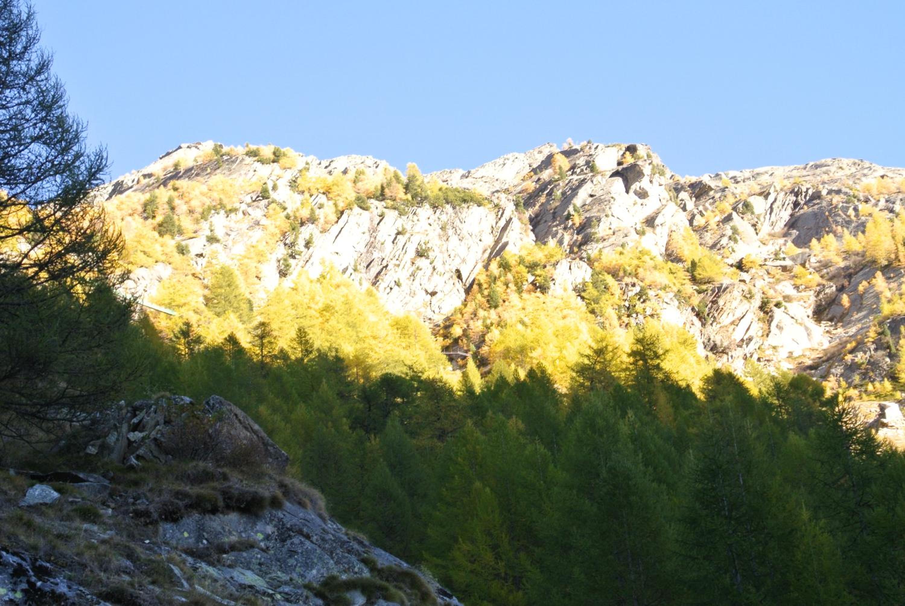 Chalet Christitia