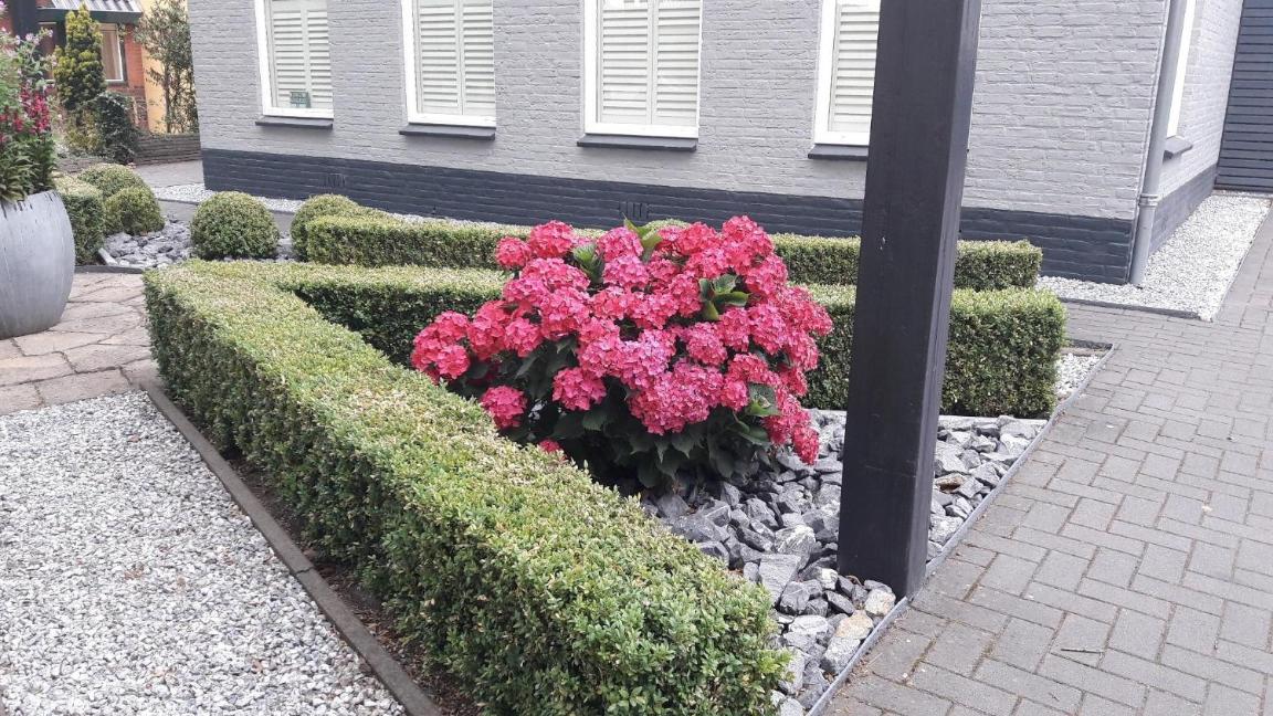 Sfeervolle 2 persoons studio in Bakkeveen view 5