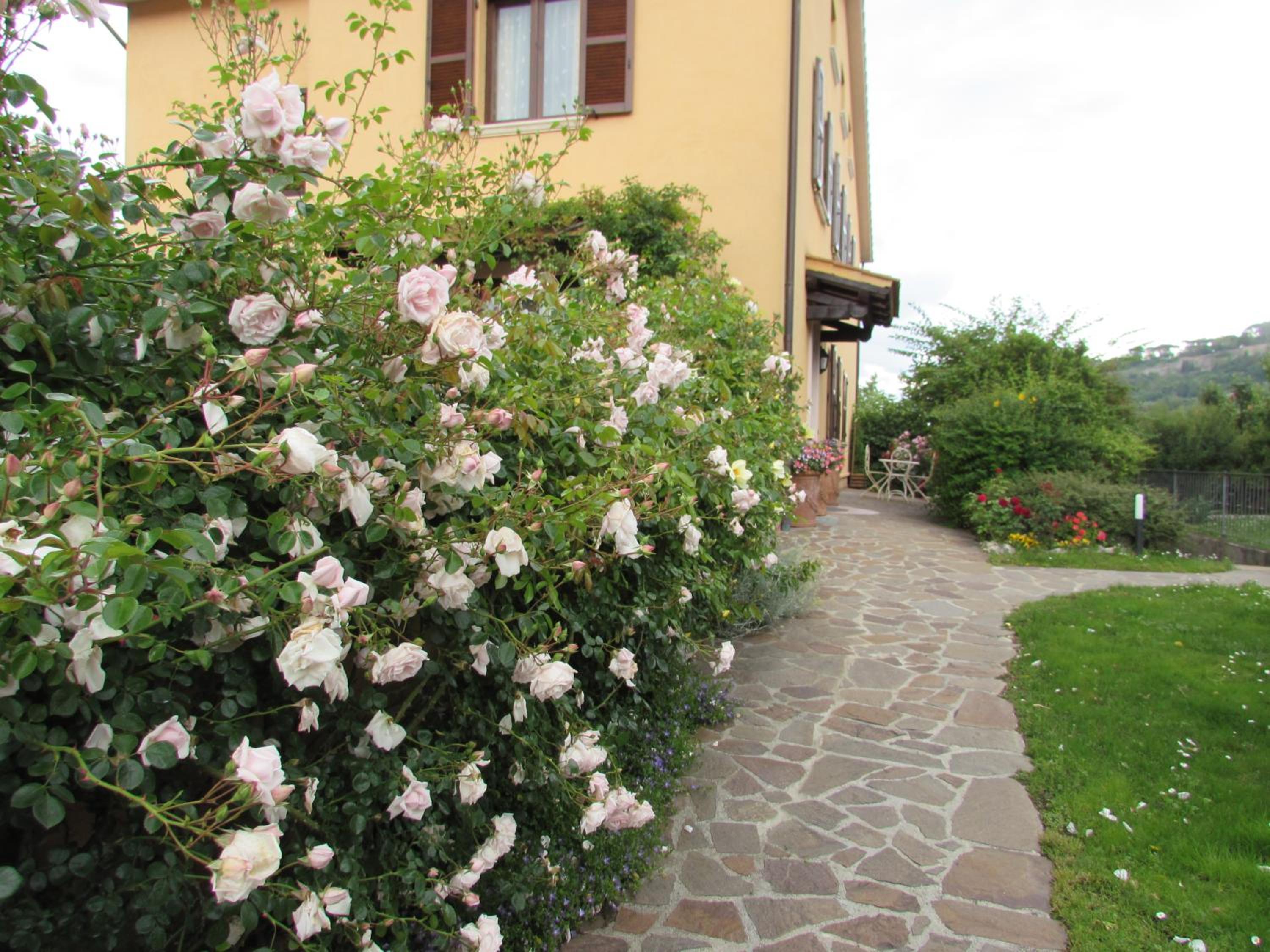 Casa Angolo delle Rose