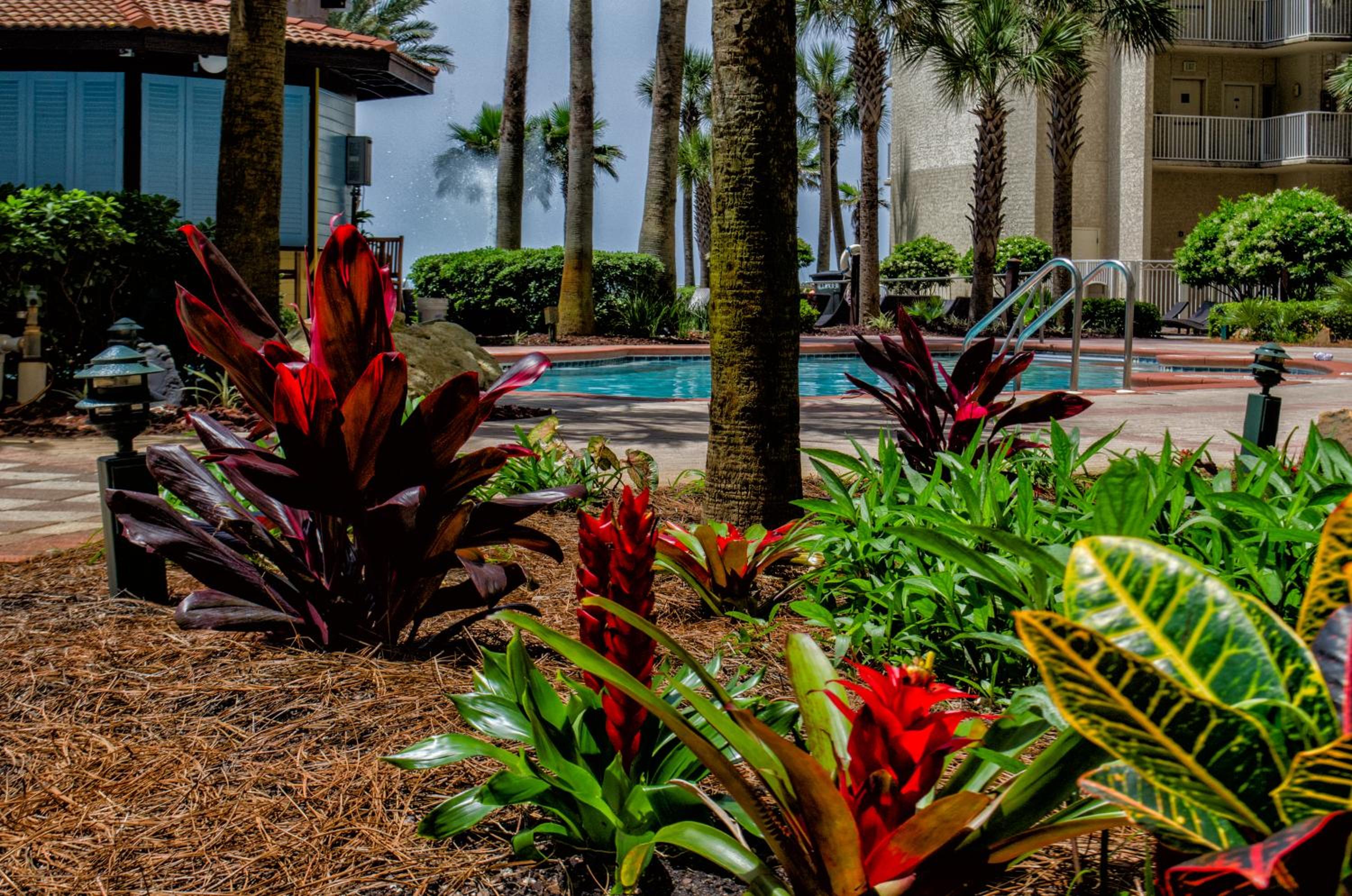 Shores of Panama Resort, photo 87