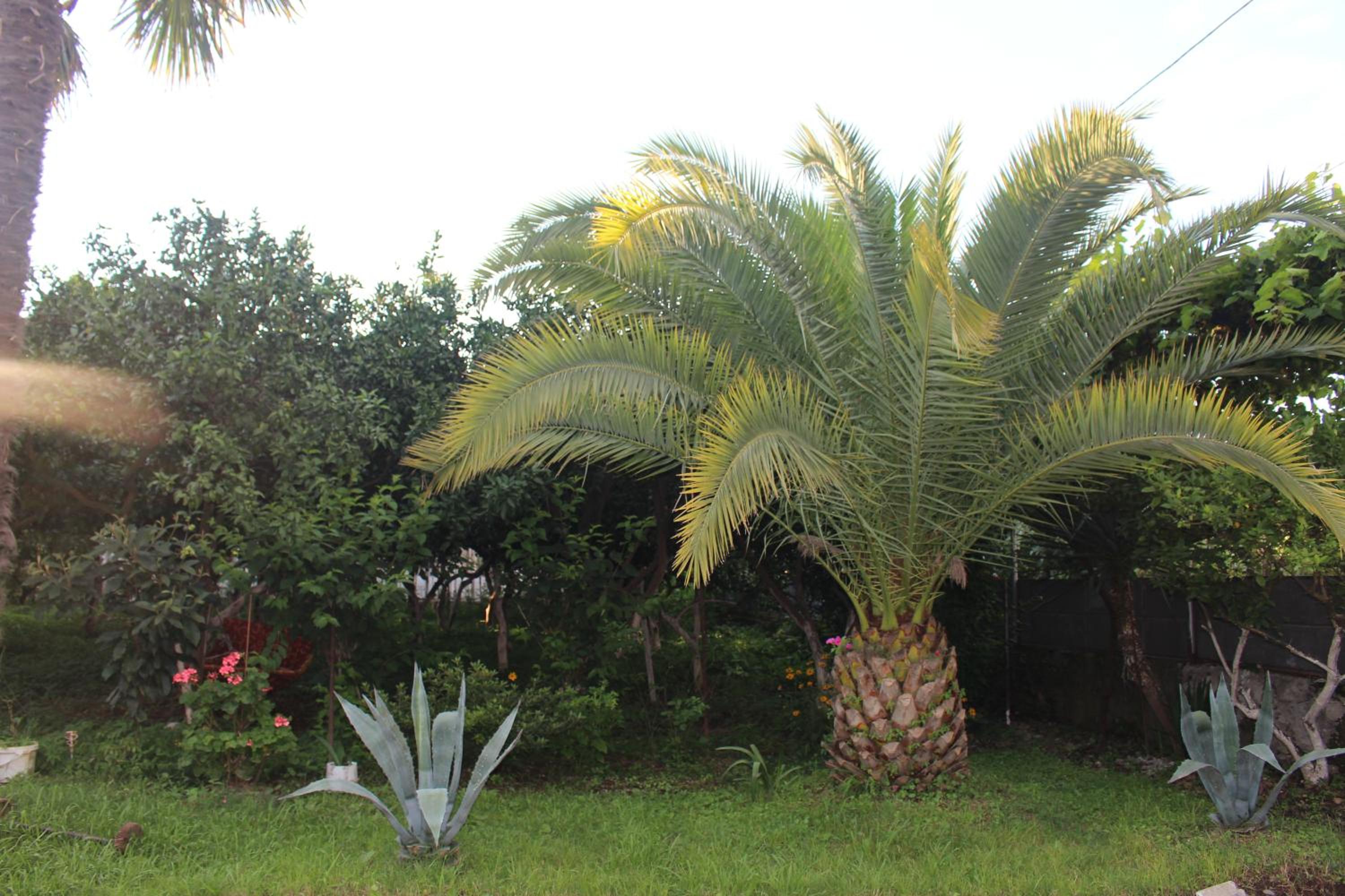 Greenview Guesthouse