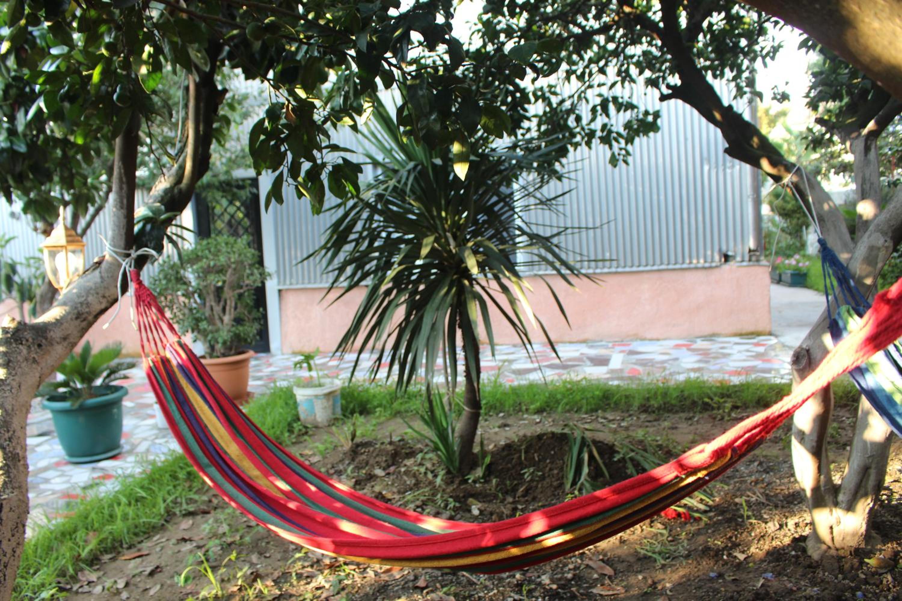 Greenview Guesthouse