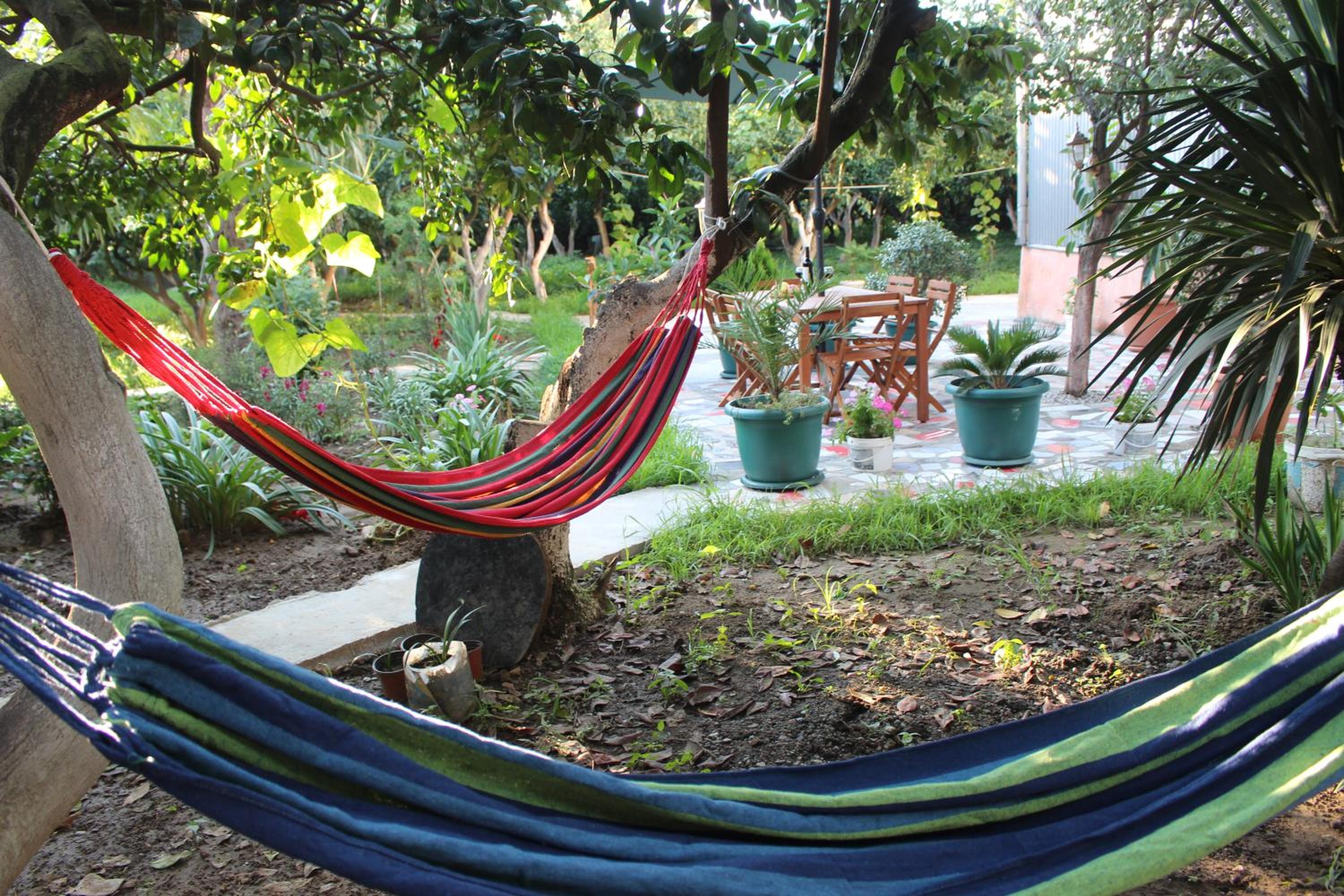 Greenview Guesthouse