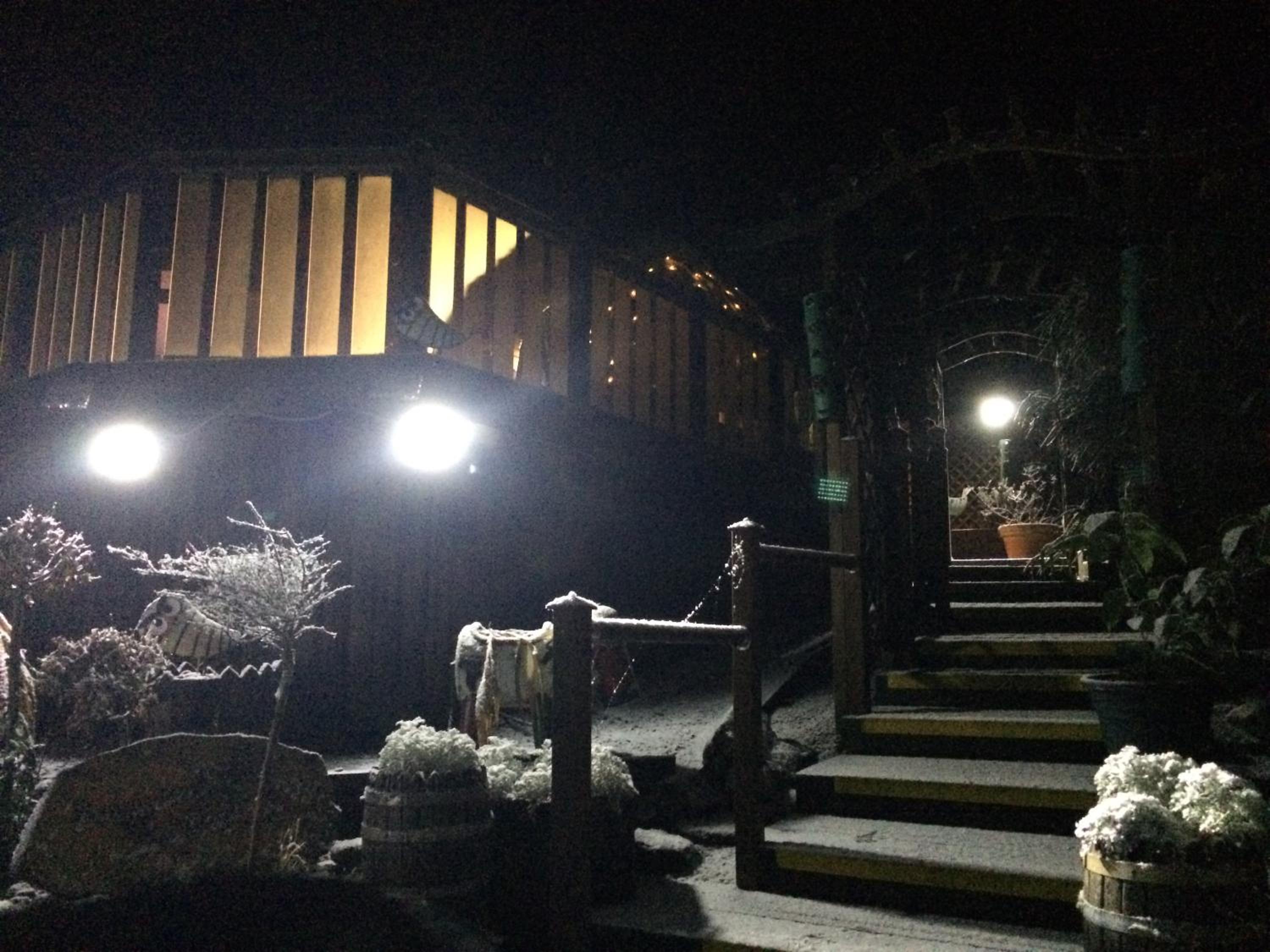 Photo 41